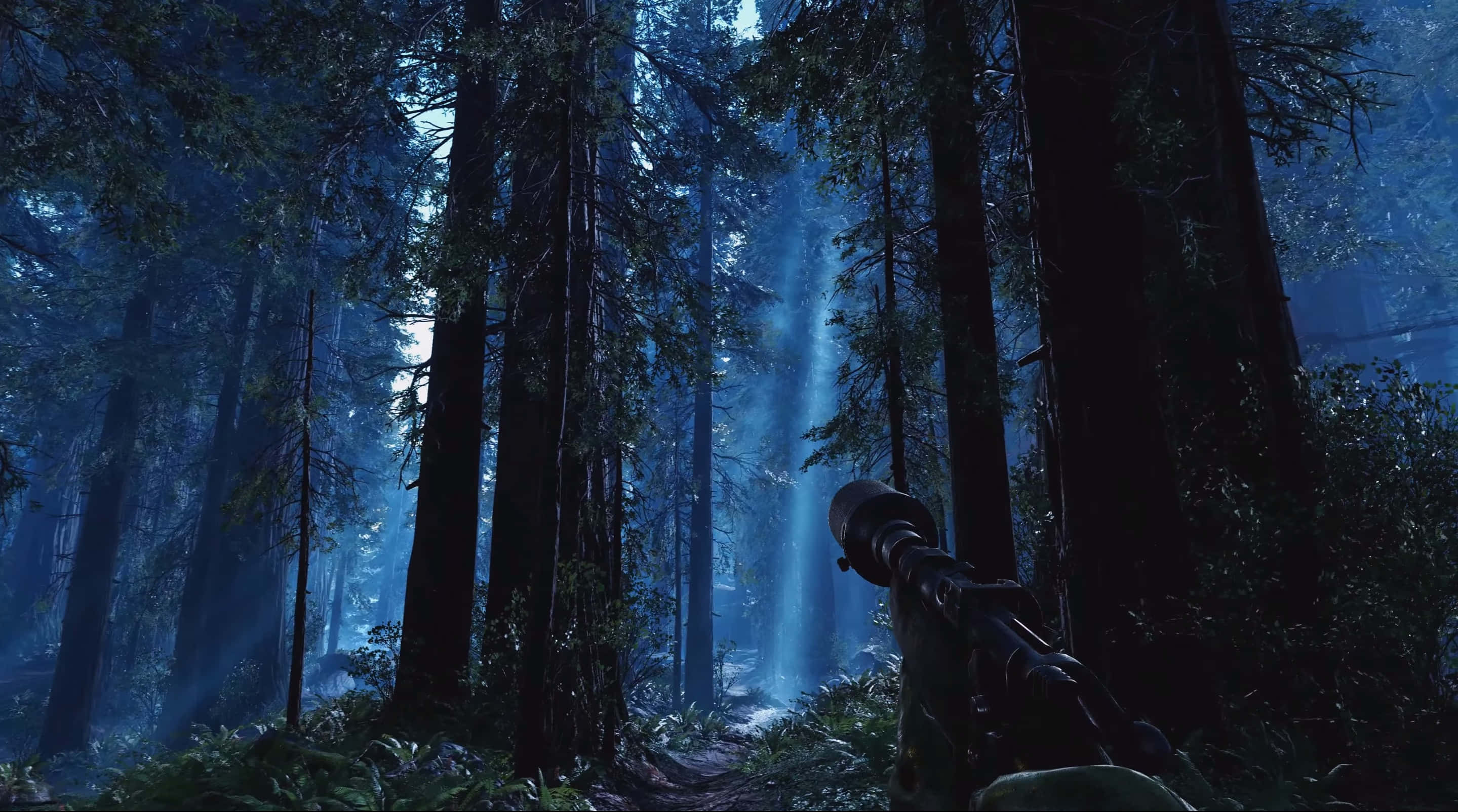 Endor, Lush Forest Landscape, blue-lit forest, 2K Desktop Wallpaper