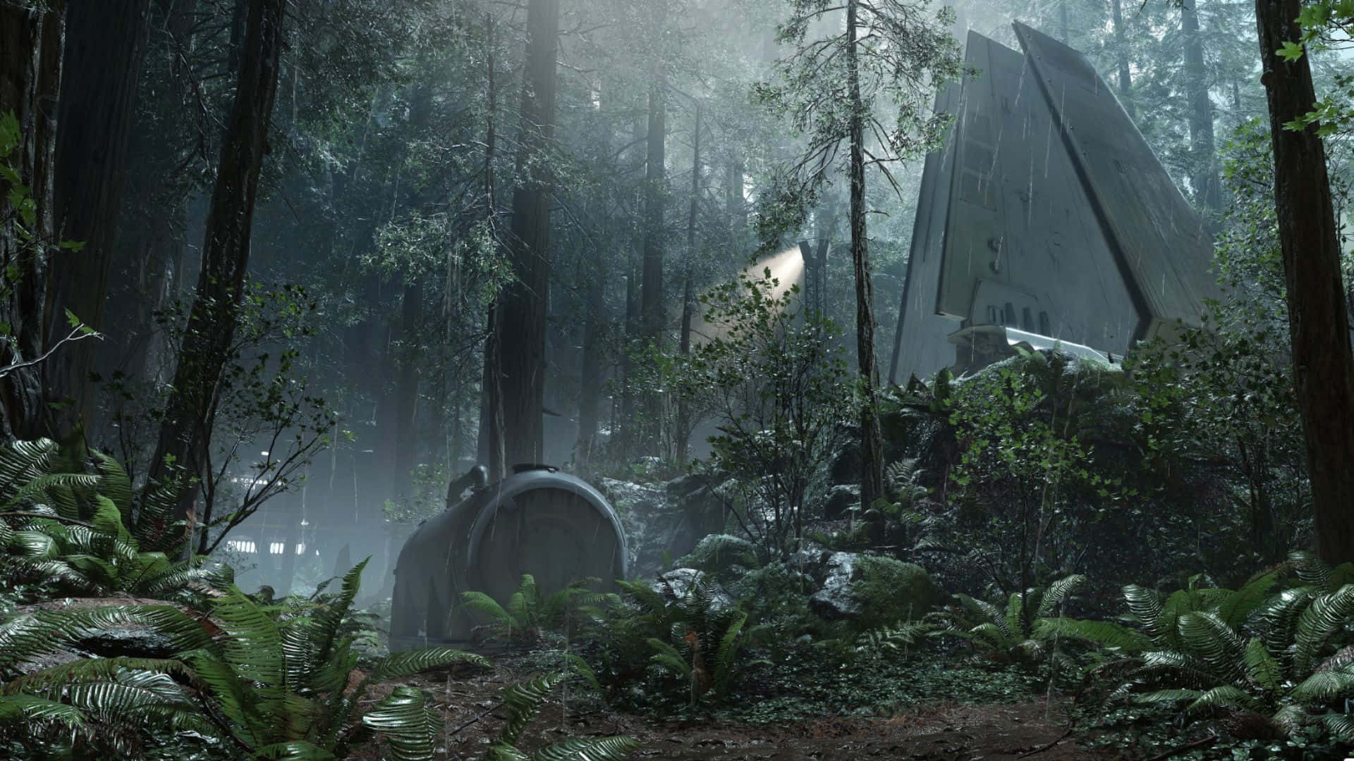 Endor, lush forest, towering trees, Full HD Desktop Wallpaper
