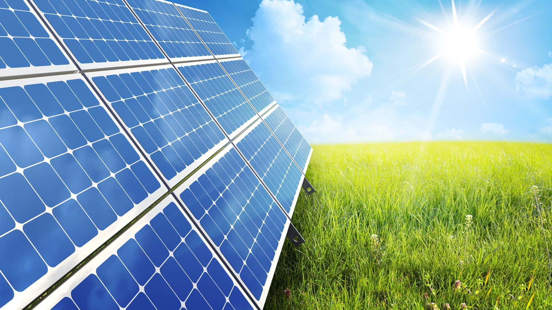 blue solar panels, bright sun, lush green field, Full HD Desktop Wallpaper