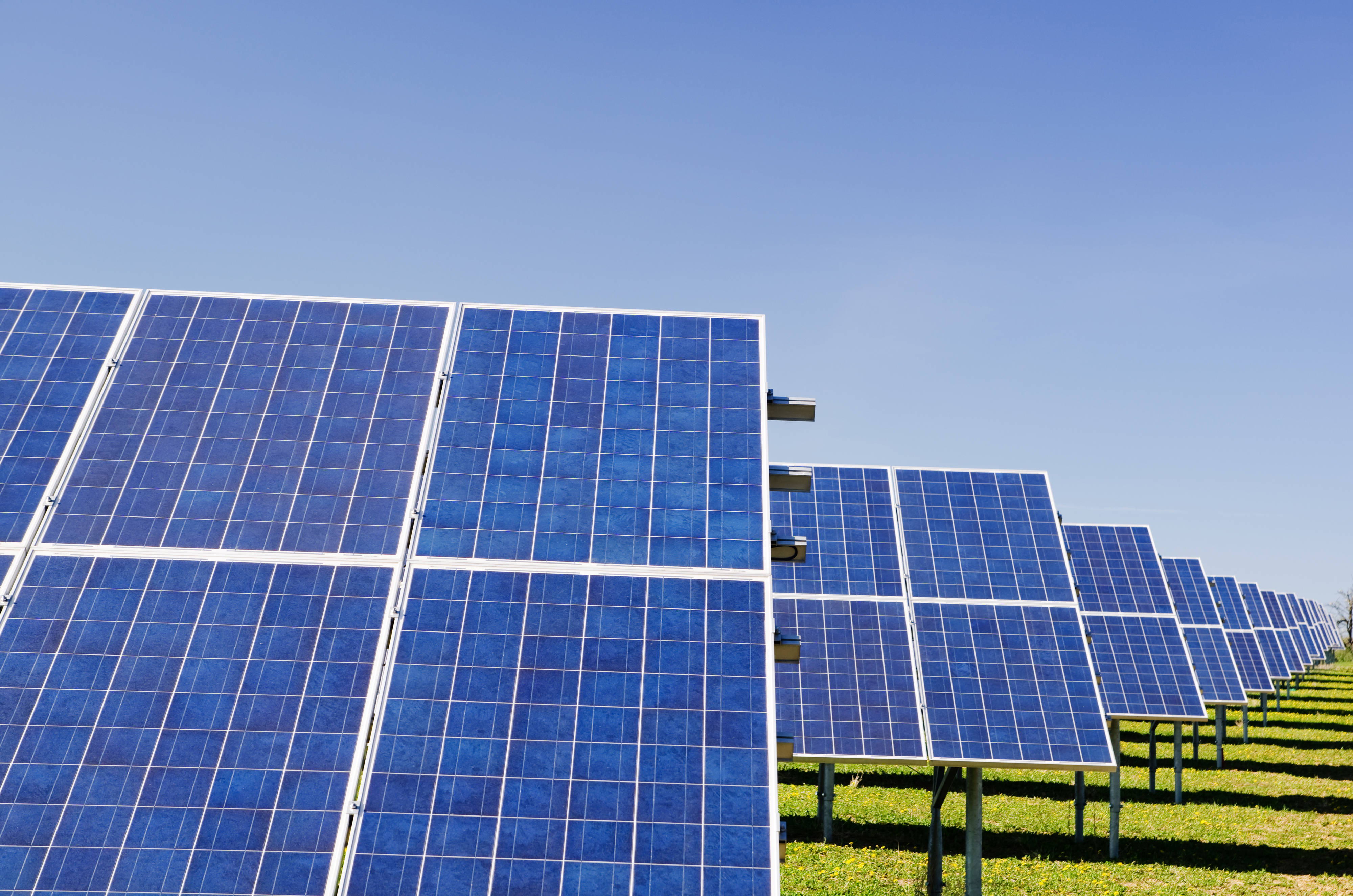 blue solar panels, grassy field, clear blue sky, 4K Desktop Wallpaper