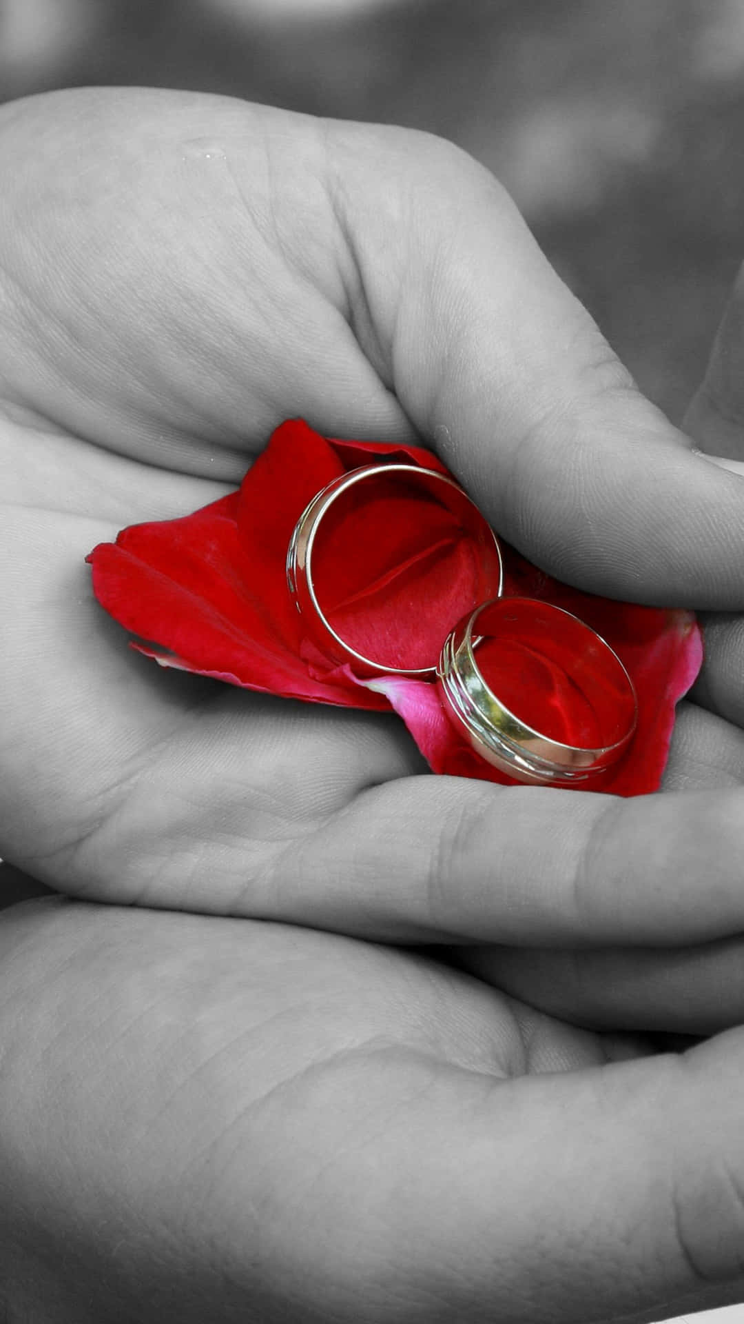 Artsy Engagement Rings, rose shot, vibrant red rose petal, Full HD Phone Wallpaper