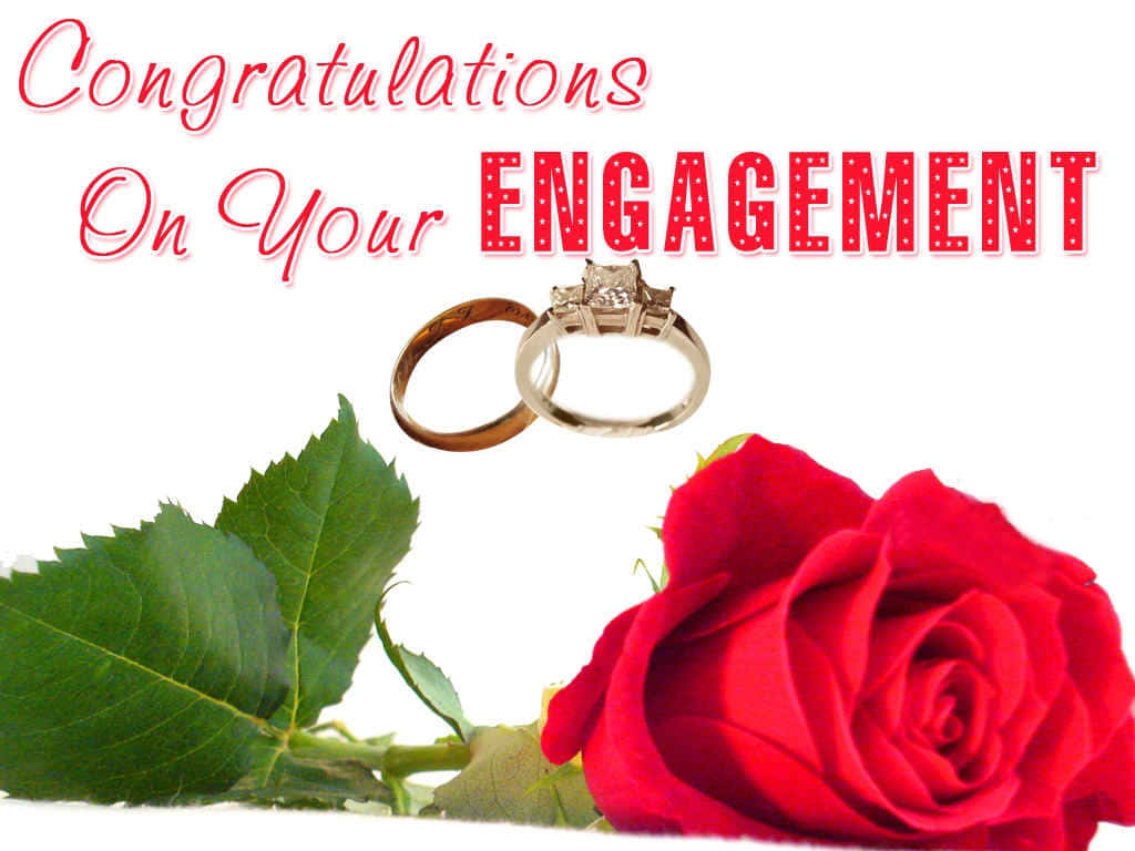 engagement greeting matching couple rings, wedding rings, red rose, SD Desktop Wallpaper