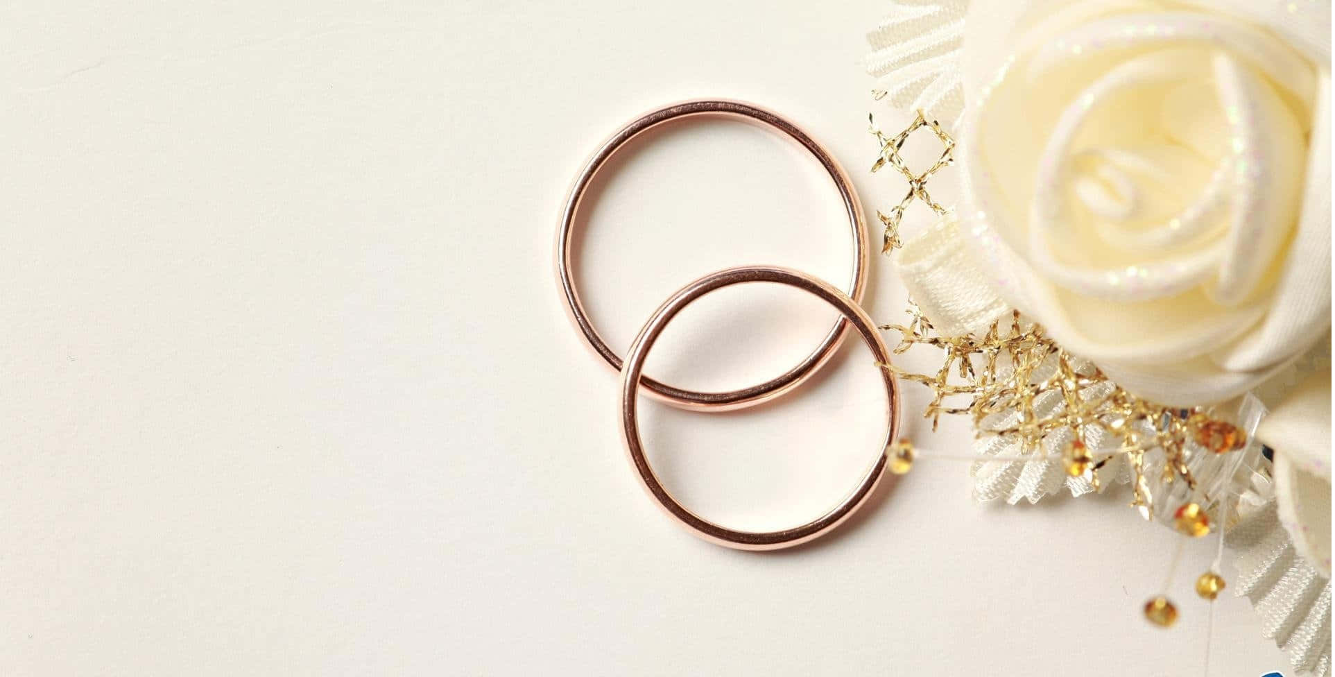 rose gold, white rose, gold glitter, Full HD Desktop Wallpaper