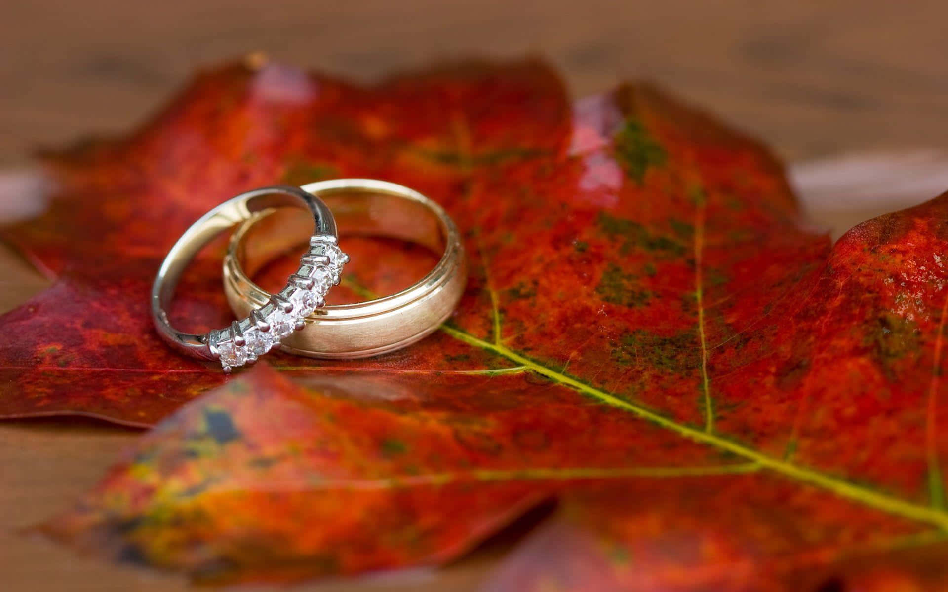 couple engagement rings, vibrant red autumn leaf, intricate green veins, Full HD Desktop Wallpaper