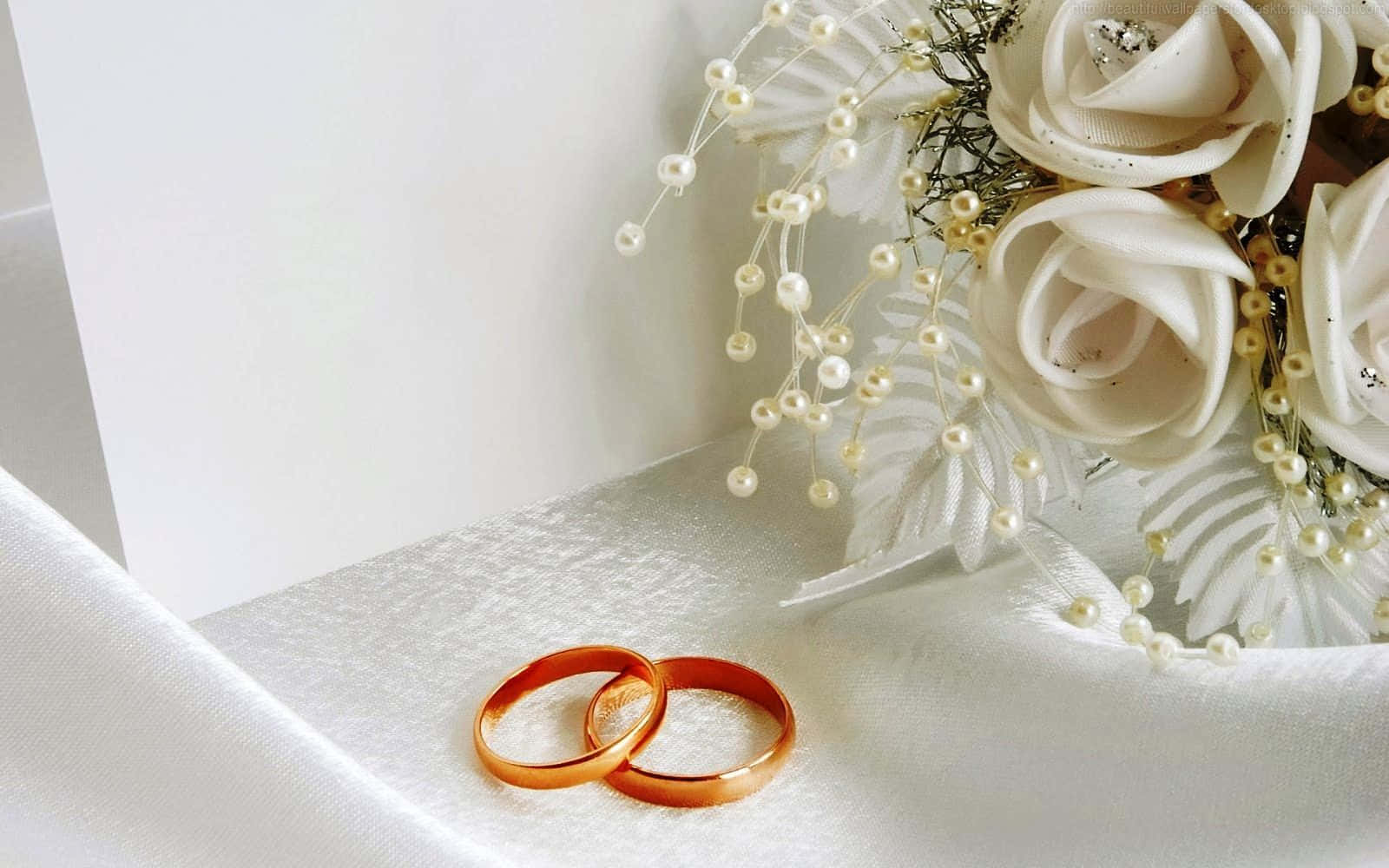 tinted gold design engagement rings, gold wedding bands, white roses, HD Desktop Wallpaper