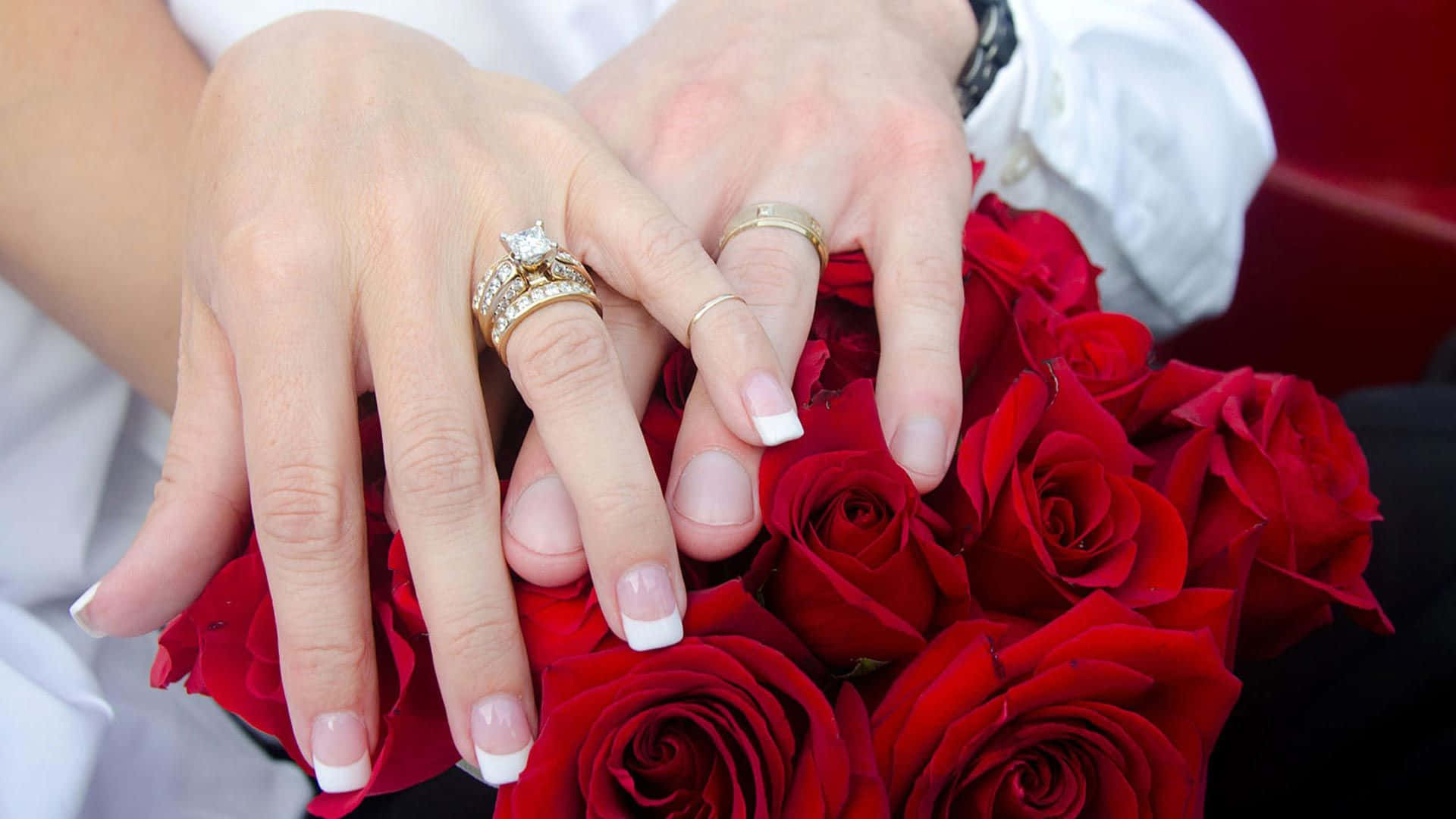 couple engagement rings, red rose, deep red roses, Full HD Desktop Wallpaper