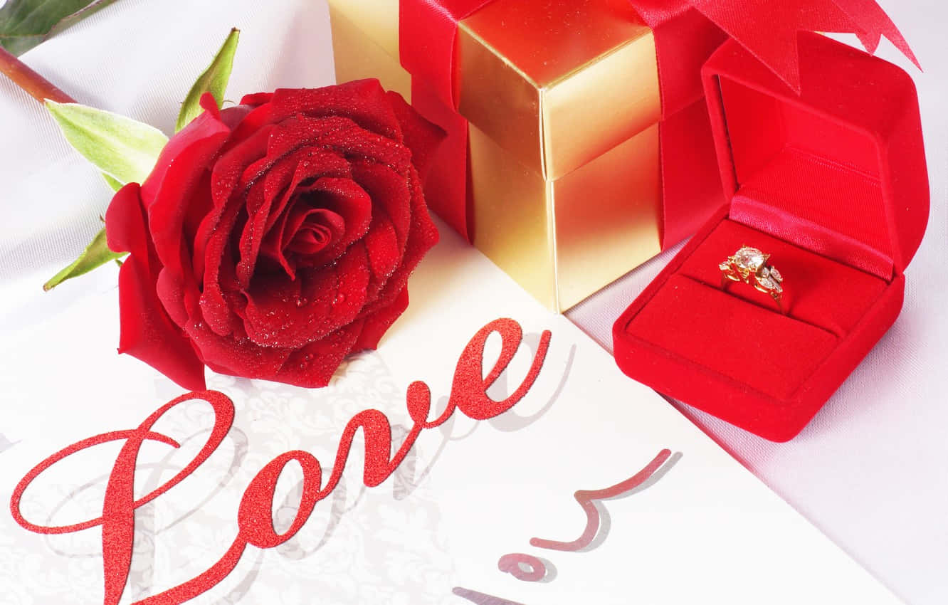 red rose, dew drops, gold gift box, HD Desktop Wallpaper