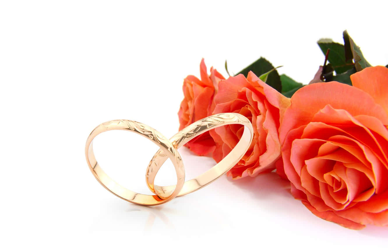 thin gold band, engagement rings, gold wedding bands, HD Desktop Wallpaper