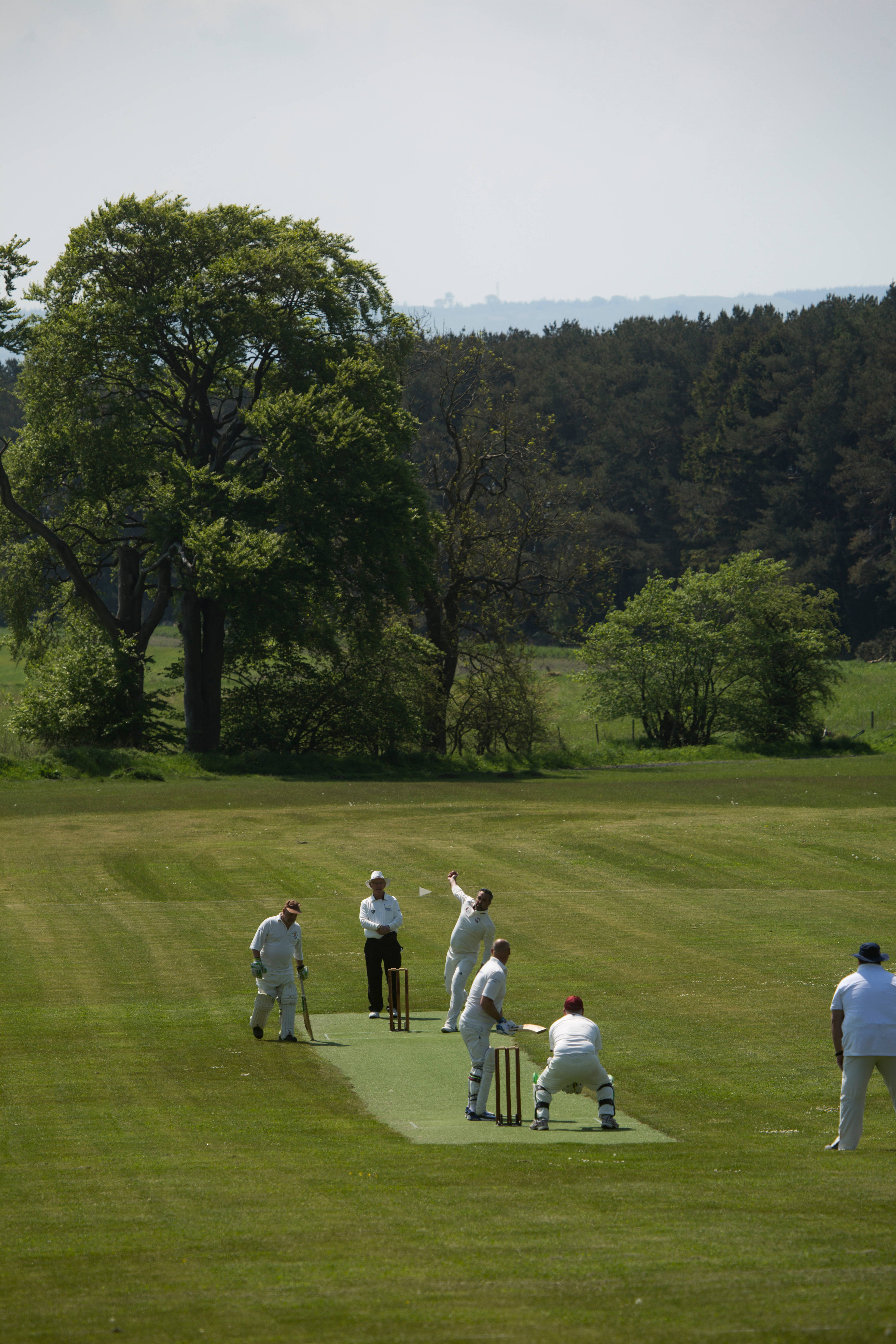 cricketers, white uniforms, lush green field, 5K Phone Wallpaper