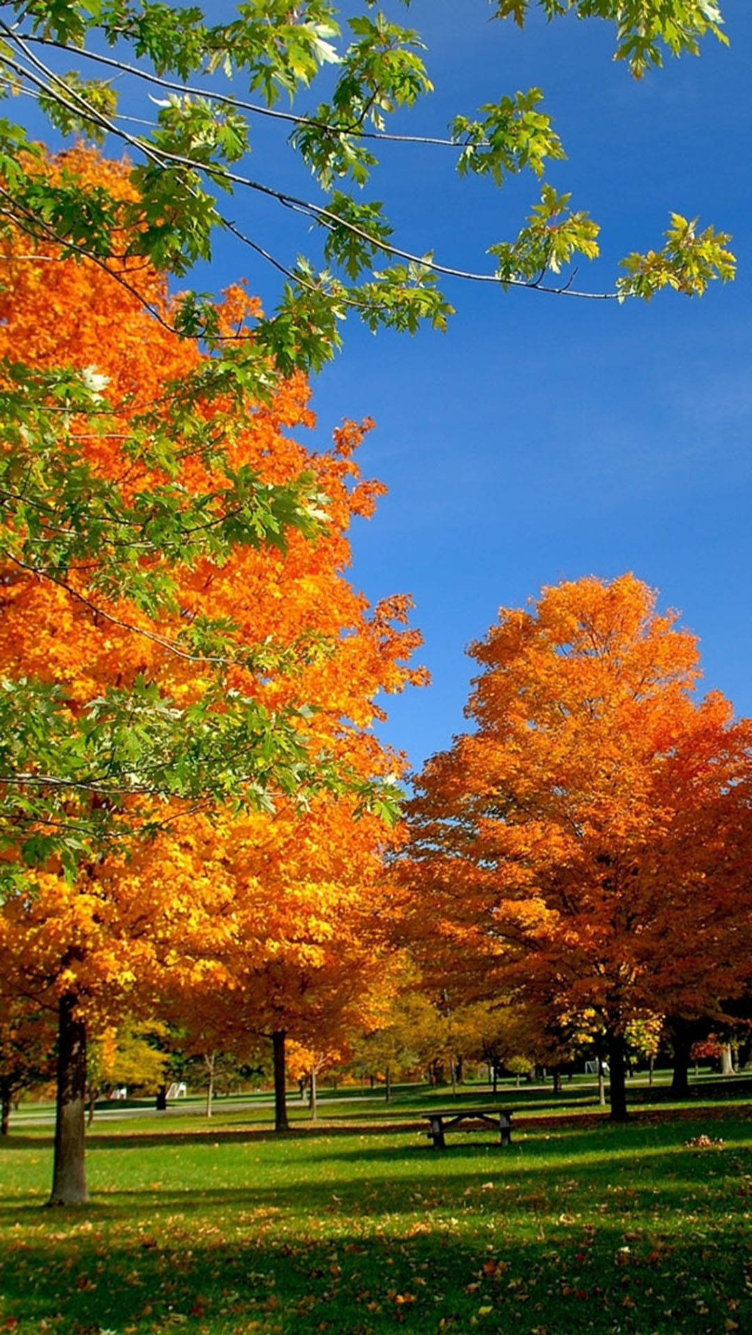 autumn, iPhone, England, HD Phone Wallpaper