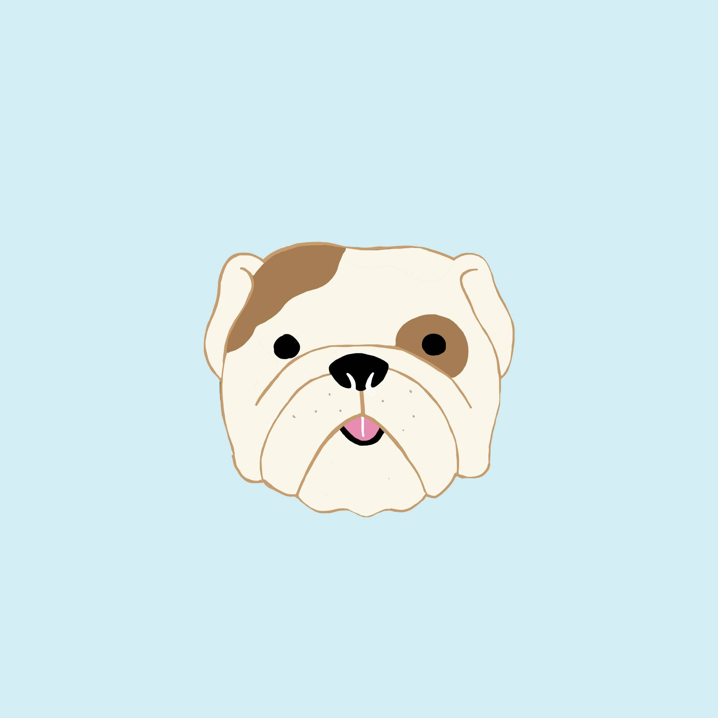 English Bulldog, brown patches, pink tongue, Full HD Desktop Wallpaper