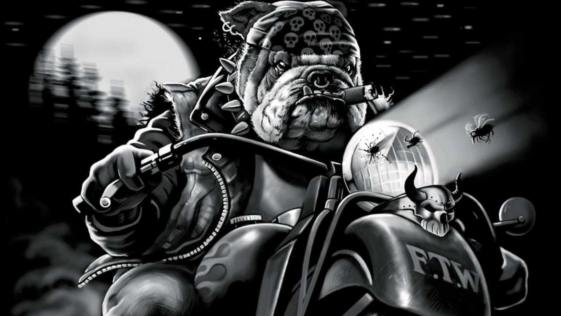 English Bulldog, skull bandana, motorcycle, Full HD Desktop Wallpaper