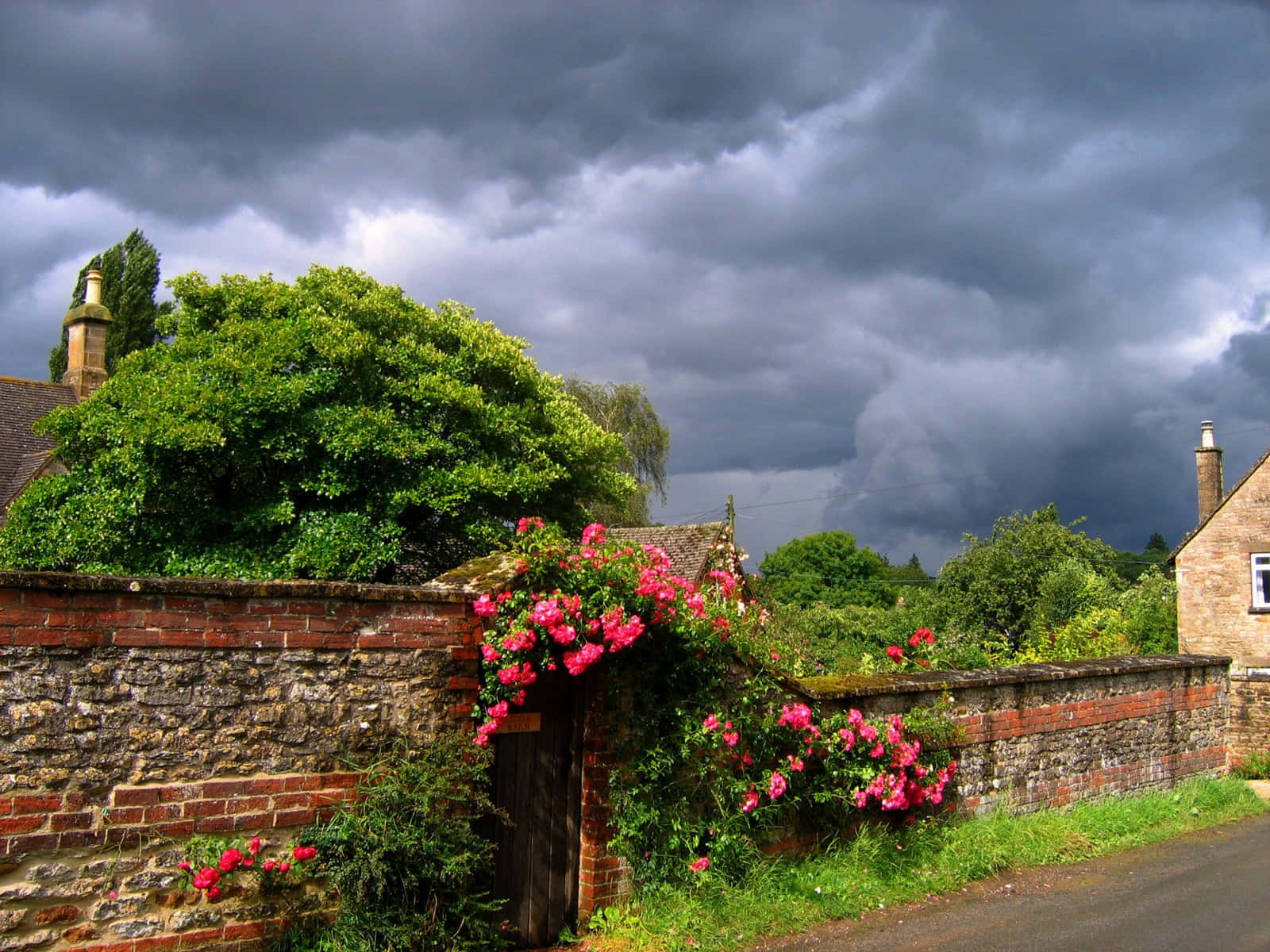 English Countryside, gray clouds, vibrant pink roses, HD Desktop Wallpaper