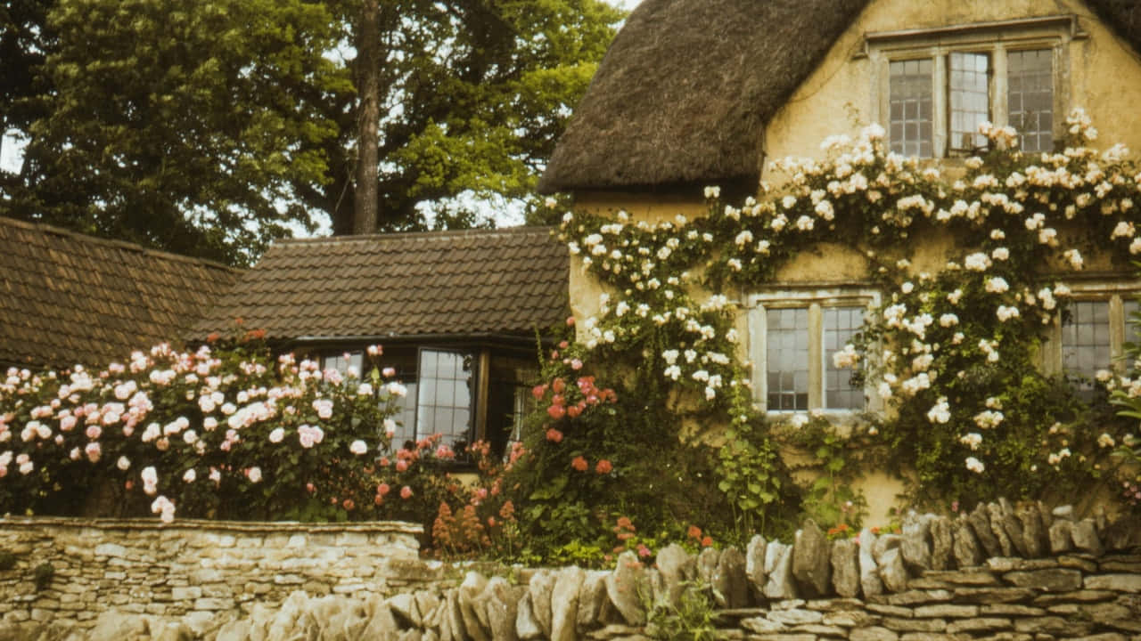 thatched roof cottage, white roses, pink blooms, HD Desktop Wallpaper
