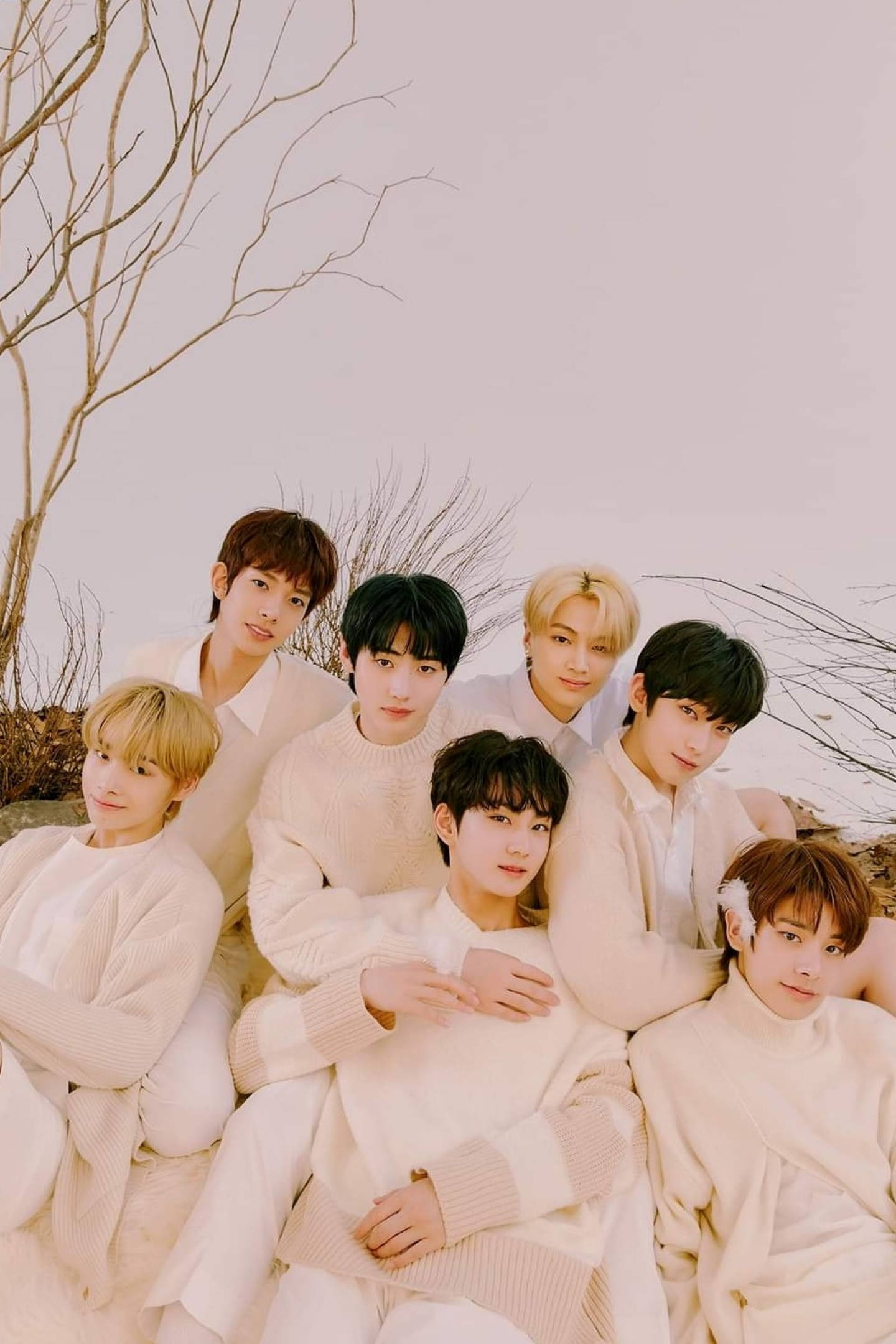 Enhypen, seven young men, cream sweaters, Full HD Phone Wallpaper