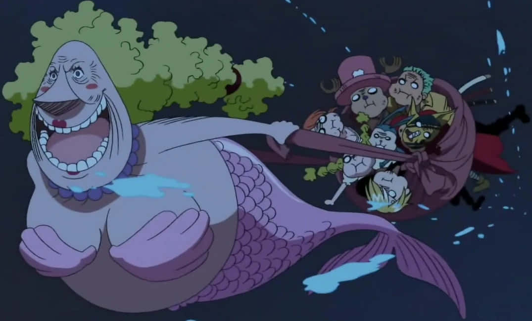 Enies Lobby, purple mermaid, anime characters, SD Desktop Wallpaper