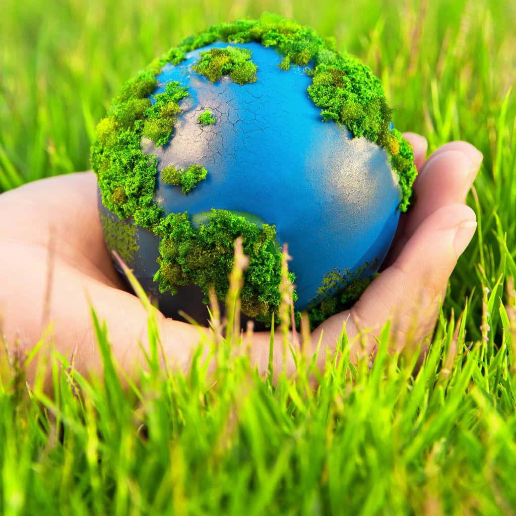 Earth, hand, moss-covered globe, SD Desktop Wallpaper