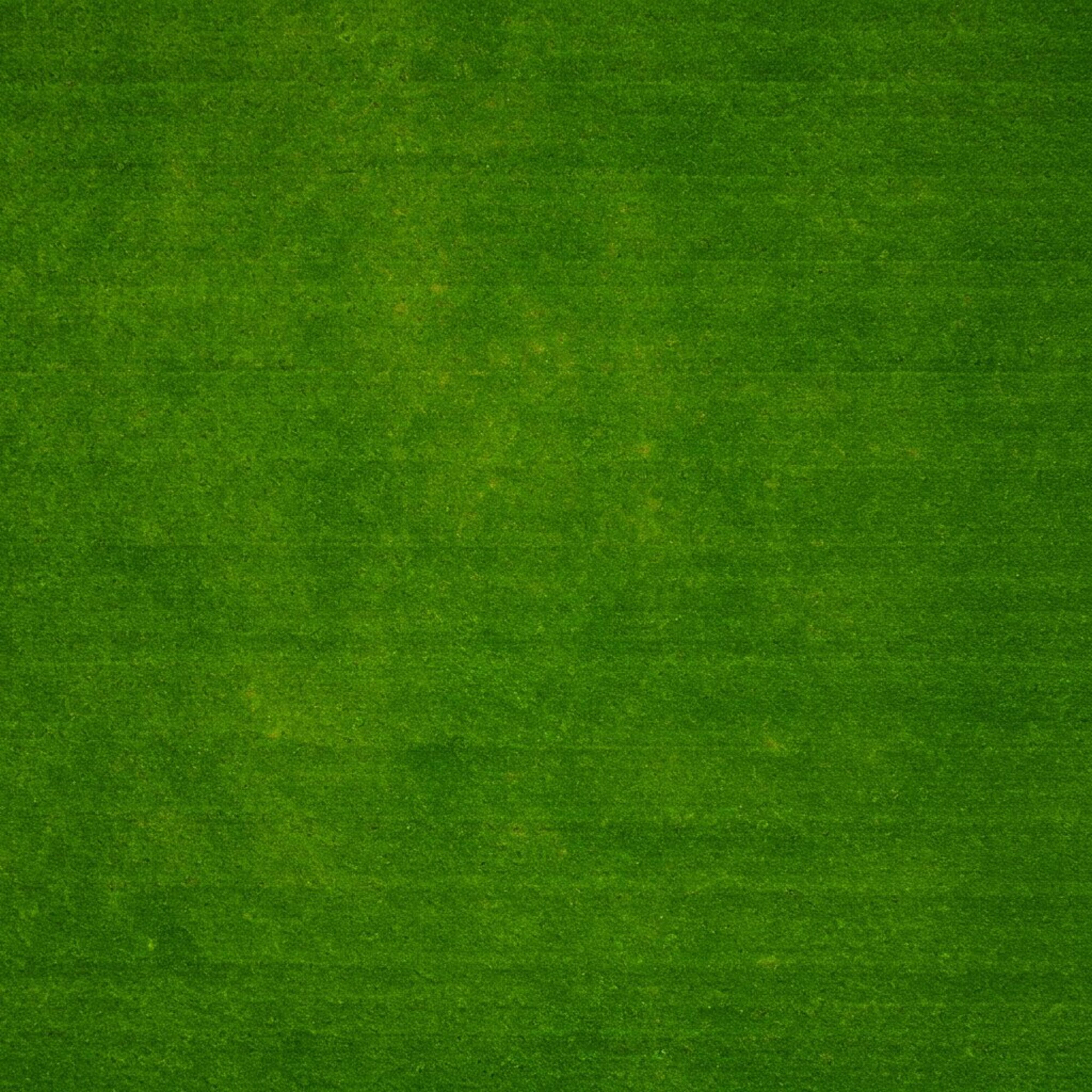 lawn, lush green grass, subtle variations in shade and texture, 4K Desktop Wallpaper