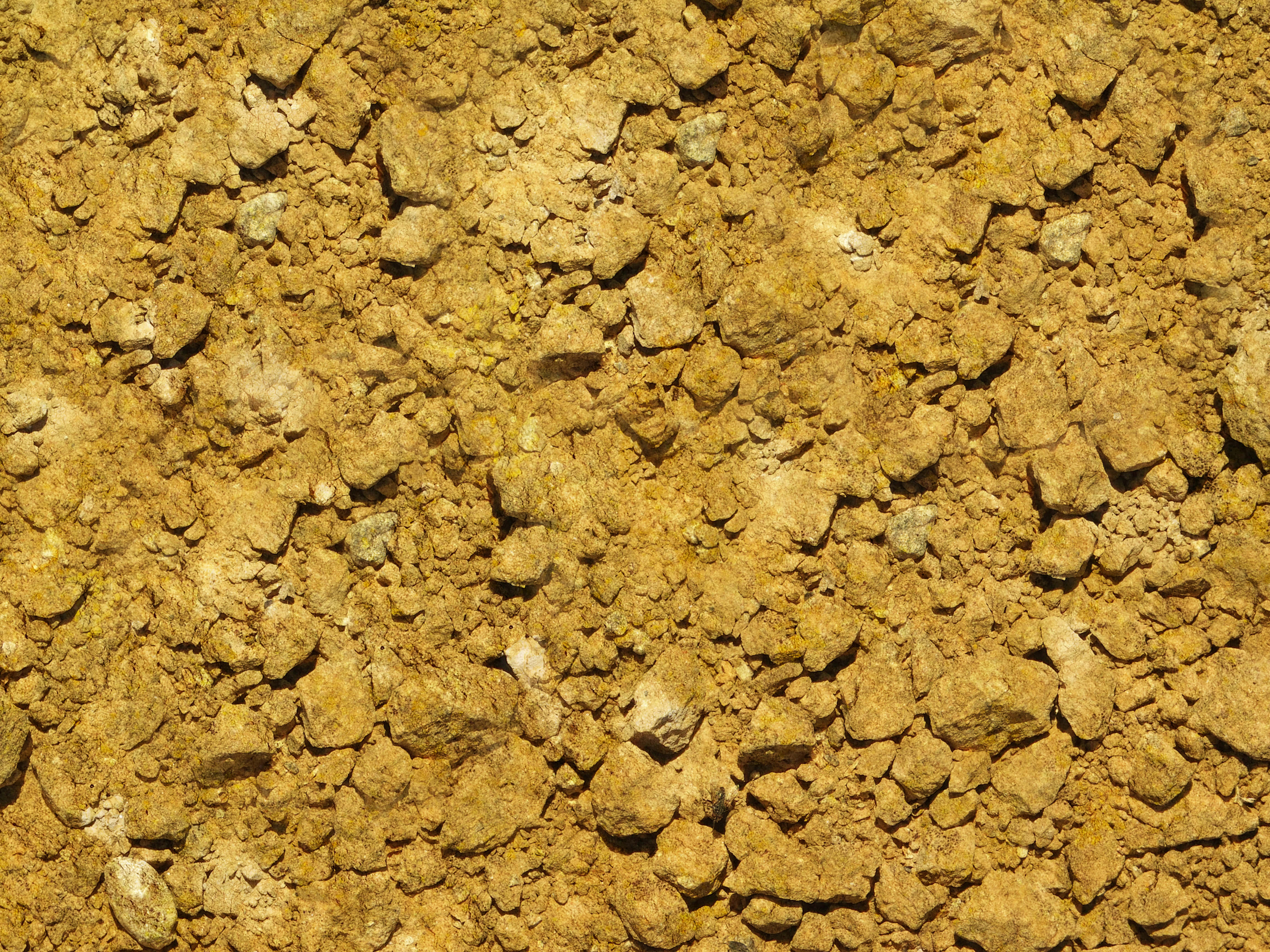 earth texture, rough textured earth, scattered small rocks, 4K Desktop Wallpaper