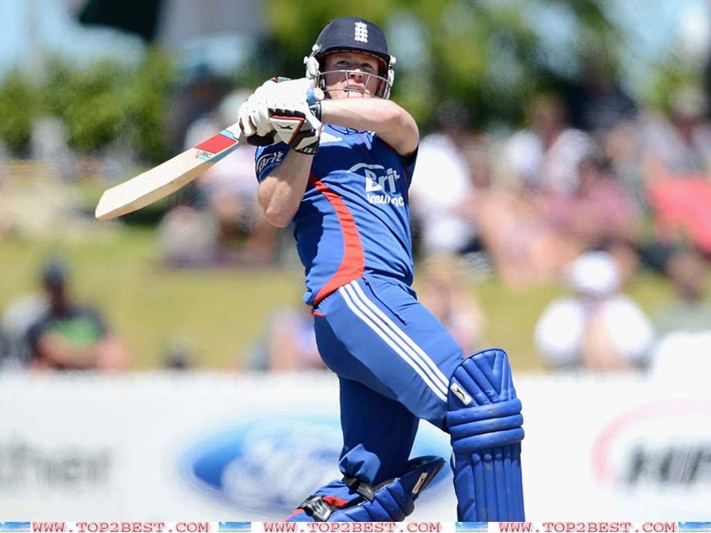 Eoin Morgan, cricket batsman, blue gear, SD Desktop Wallpaper