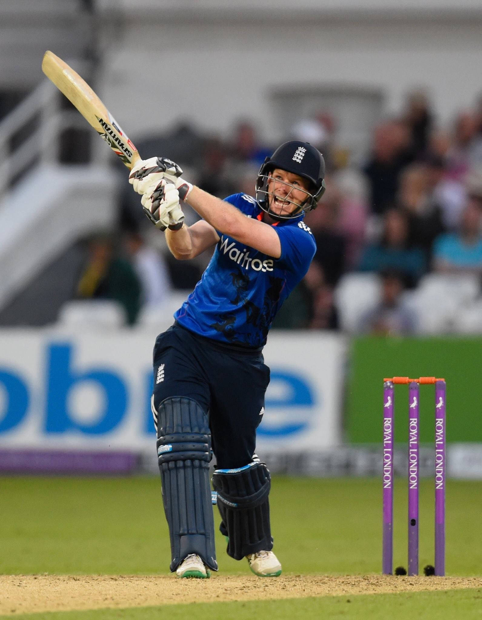 Eoin Morgan, cricket batsman, blue uniform, Full HD Phone Wallpaper