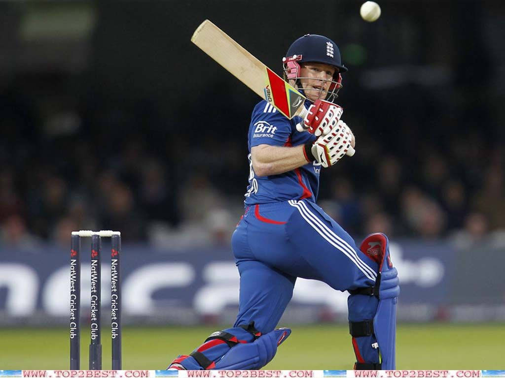 Eoin Morgan, cricket batsman, blue uniform, SD Desktop Wallpaper