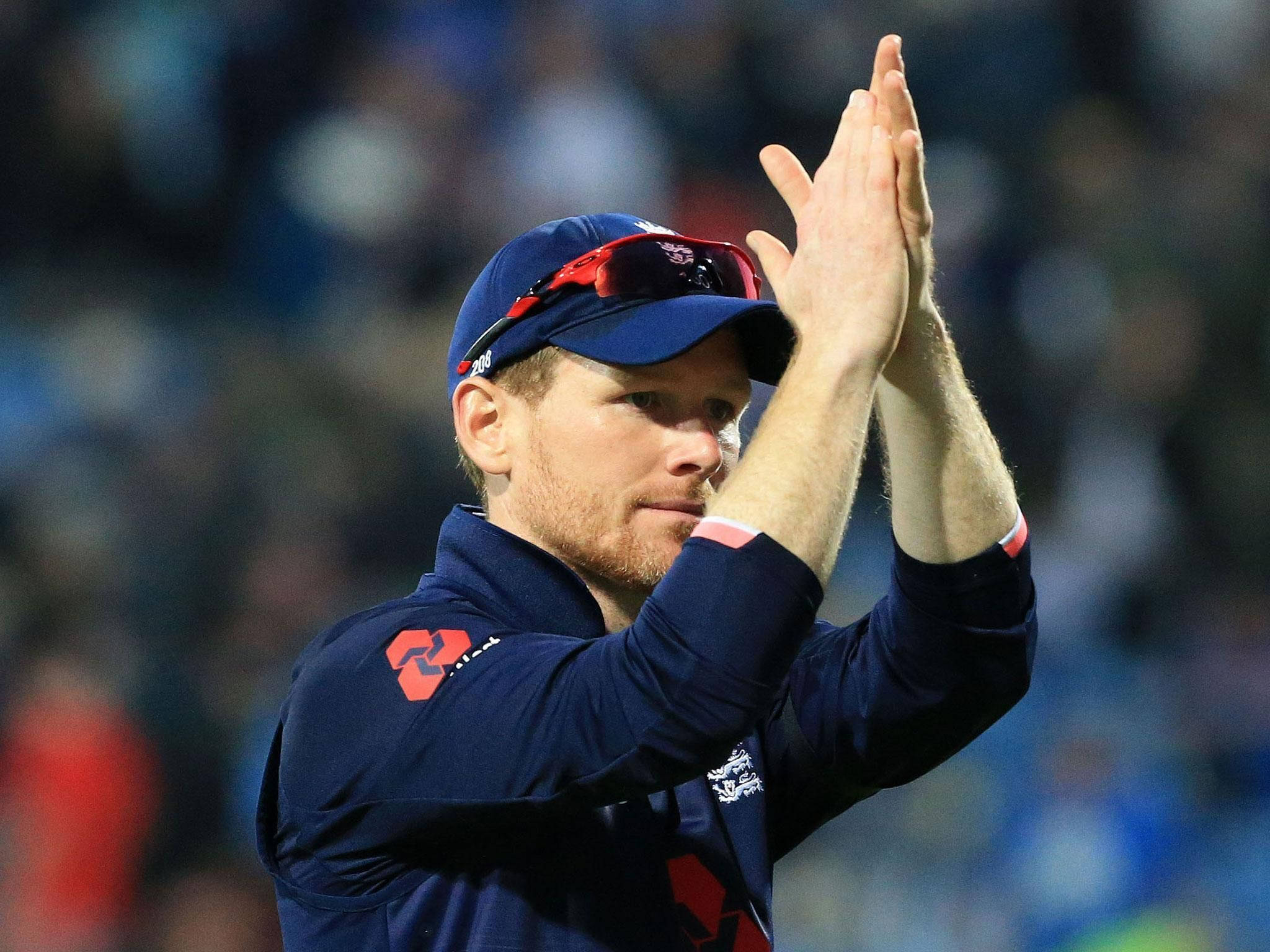 Eoin Morgan, navy blue shirt, cricket player, Full HD Desktop Wallpaper