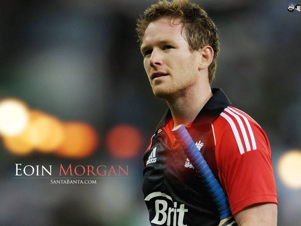 Eoin Morgan, red and black jersey, bat, SD Desktop Wallpaper
