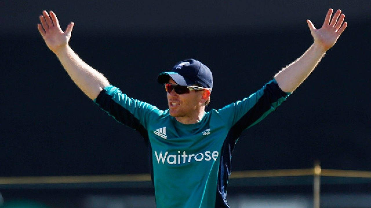 Eoin Morgan, teal Waitrose jersey, bright daylight, HD Desktop Wallpaper