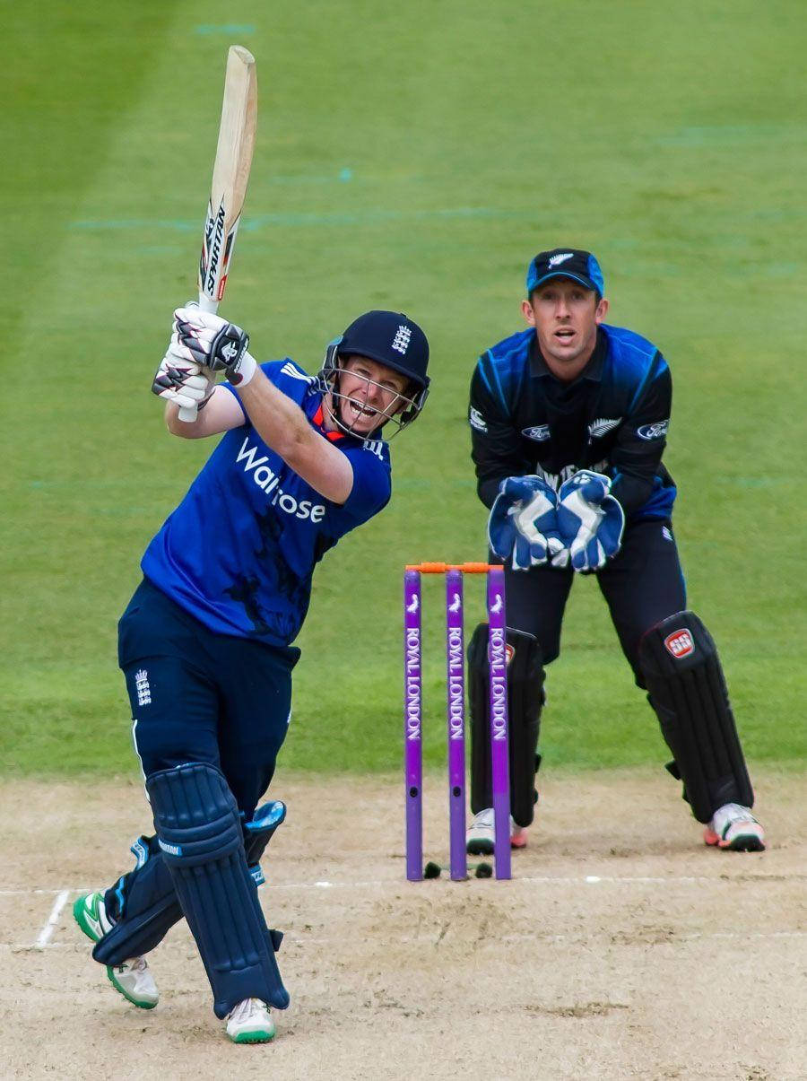 Eoin Morgan, cricket batsman, blue, SD Phone Wallpaper