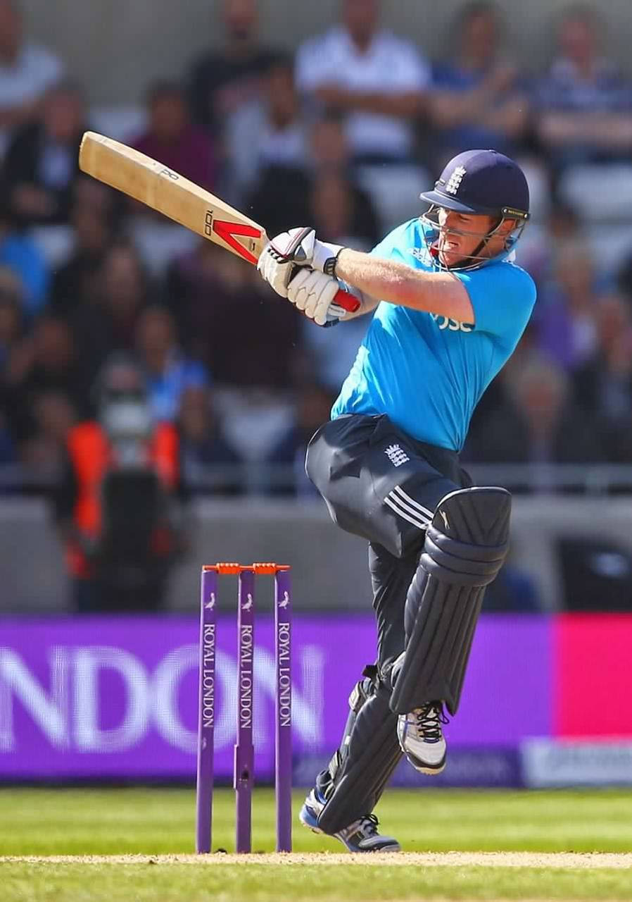 Eoin Morgan, blue uniform, cricket batsman, HD Phone Wallpaper