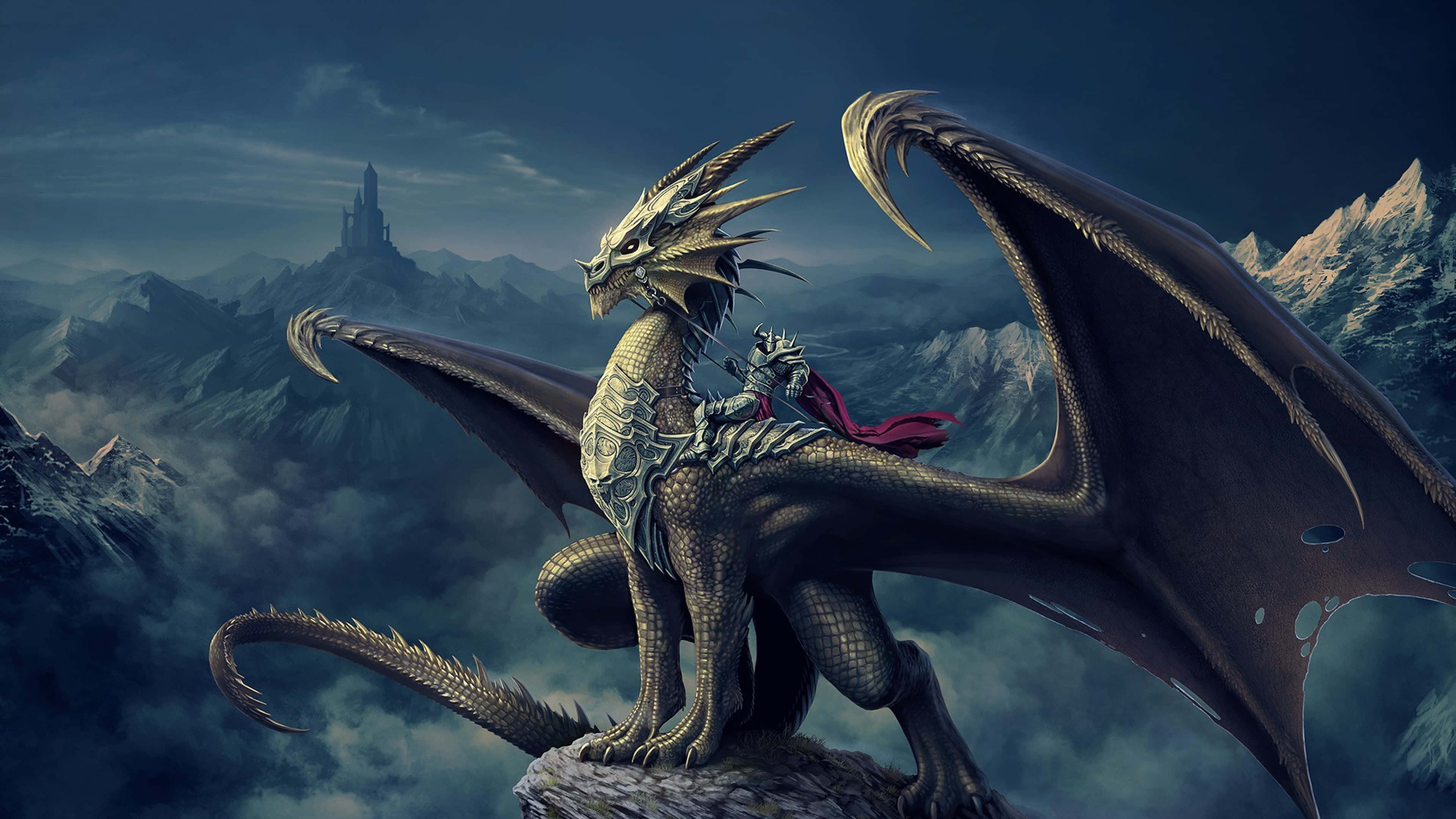 Epic Dragon 4K, knight in armor, majestic dragon, 4K Desktop Wallpaper