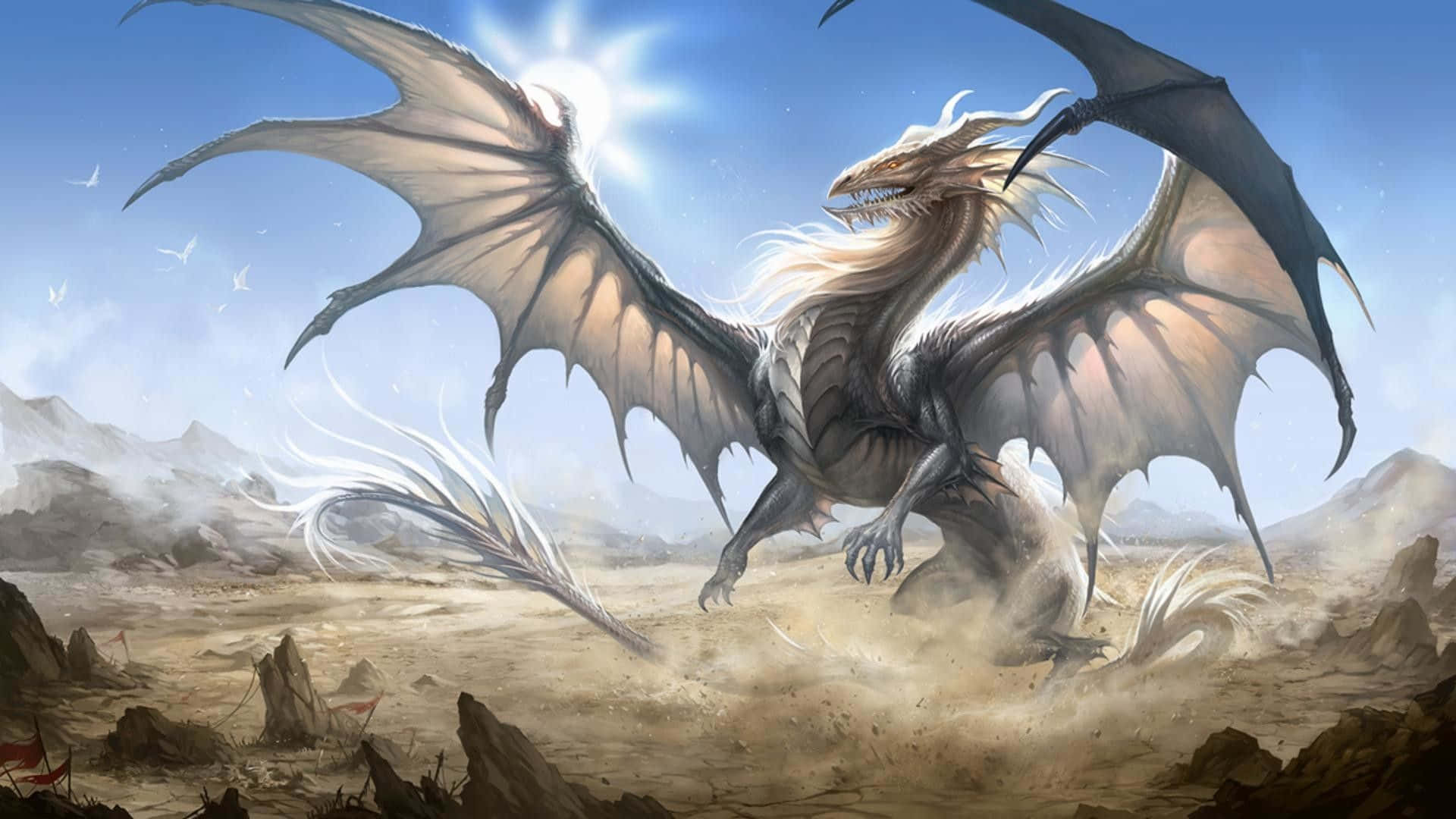Epic Dragon, white dragon, black wingtips, Full HD Desktop Wallpaper