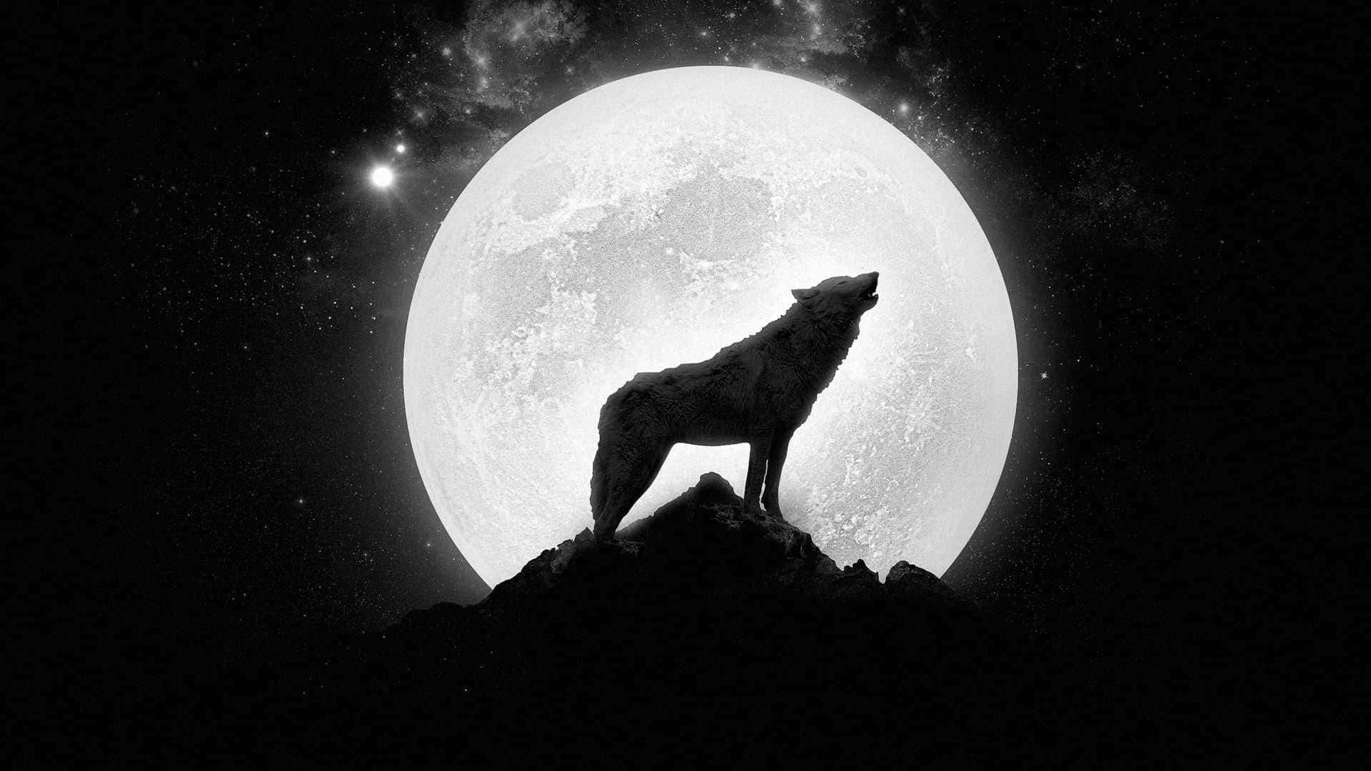 Epic Wolf, moonlight, rocky peak, Full HD Desktop Wallpaper
