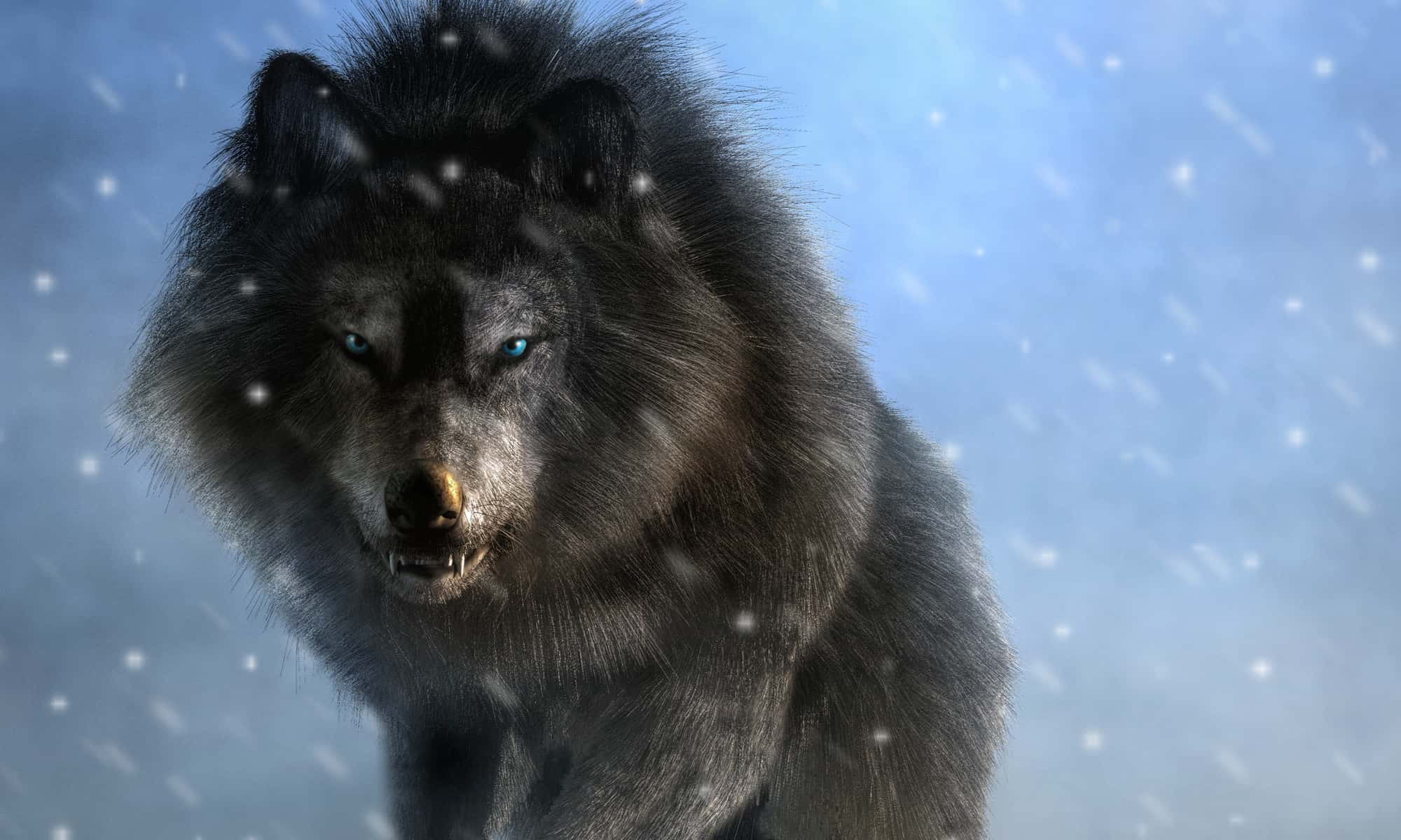 Epic Wolf, black wolf, glowing blue eyes, Full HD Desktop Wallpaper