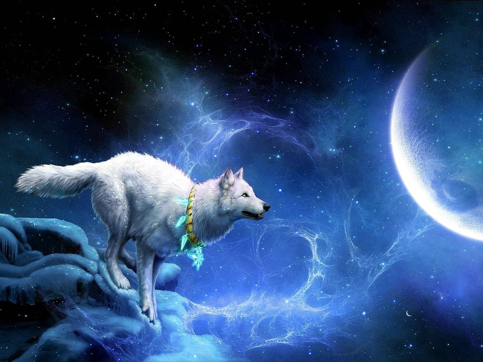 white wolf, full moon, icy terrain, HD Desktop Wallpaper