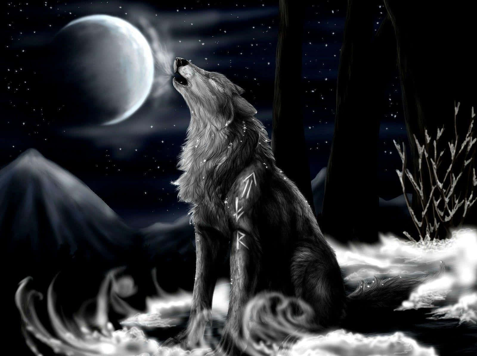 3D wolf, crescent moon, starry night sky, HD Desktop Wallpaper