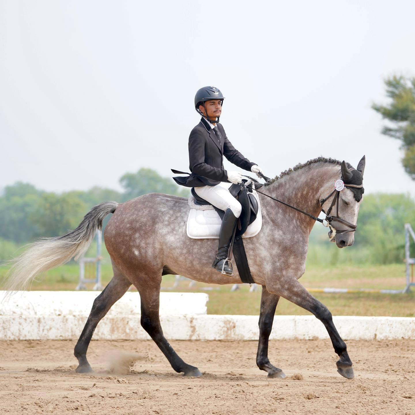 gentleman equestrian, dapple gray horse, sandy arena, HD Desktop Wallpaper