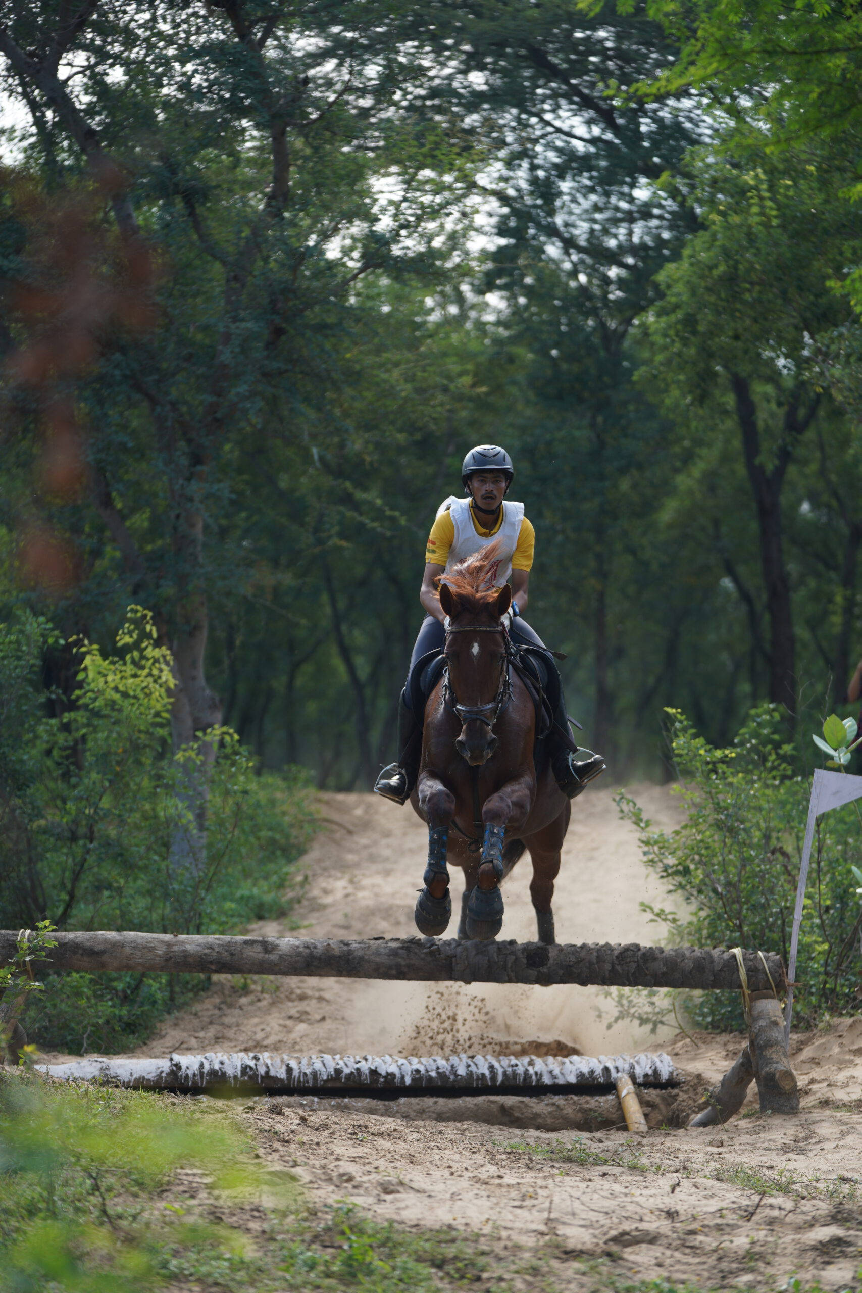 male equestrian, brown horse, rustic log obstacle, 2K Phone Wallpaper