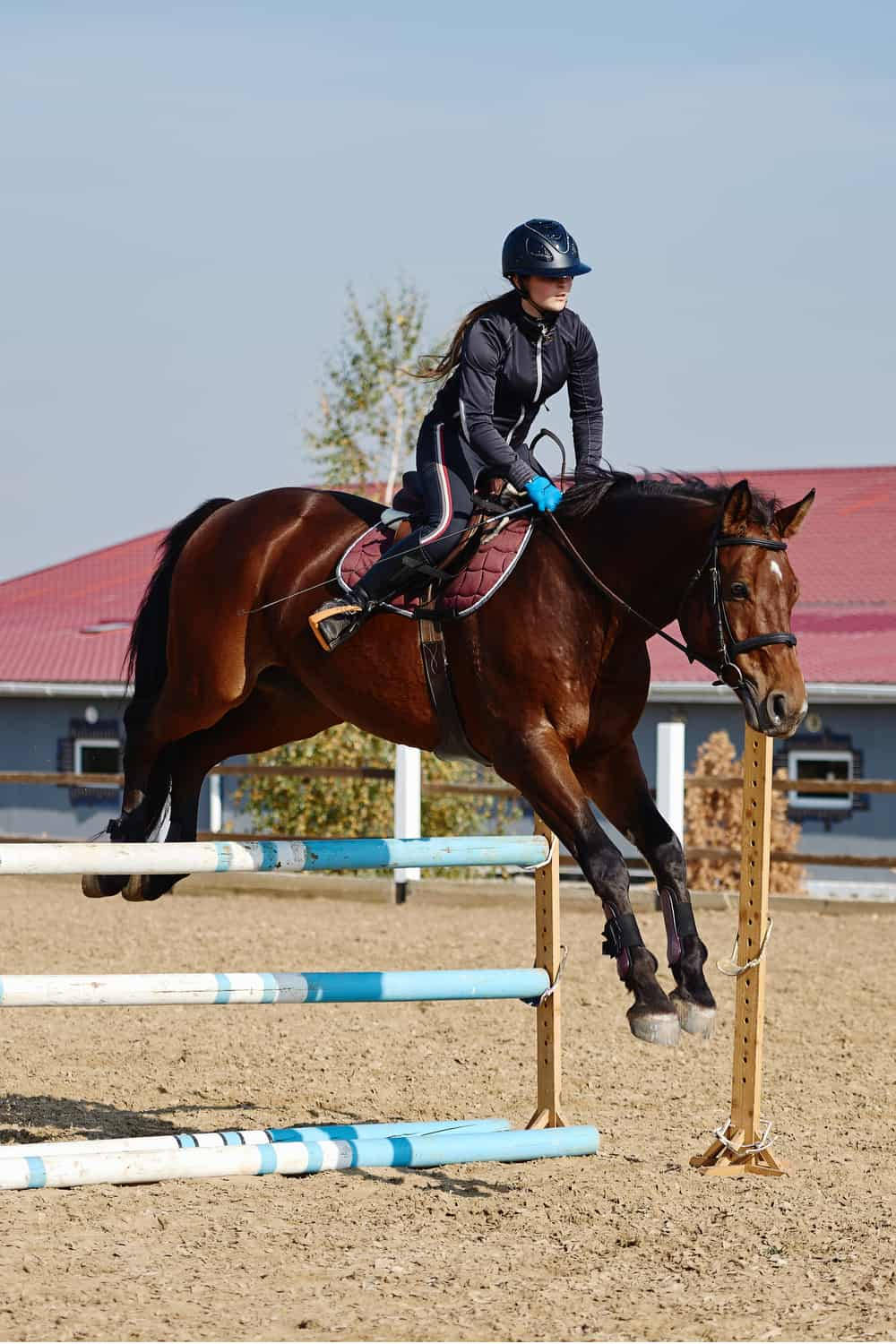 female equestrian, thoroughbred horse, chestnut horse, HD Phone Wallpaper