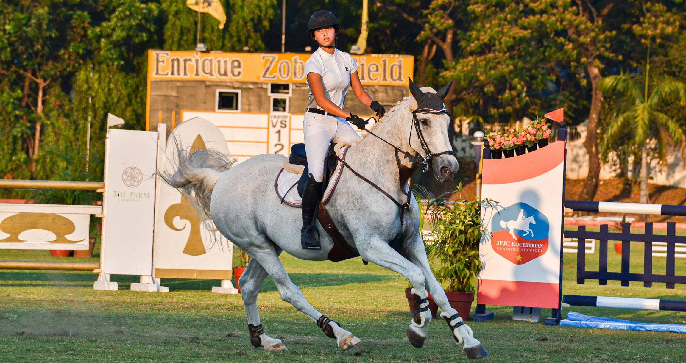 female equestrian, dapple gray horse, colorful obstacle, Full HD Desktop Wallpaper