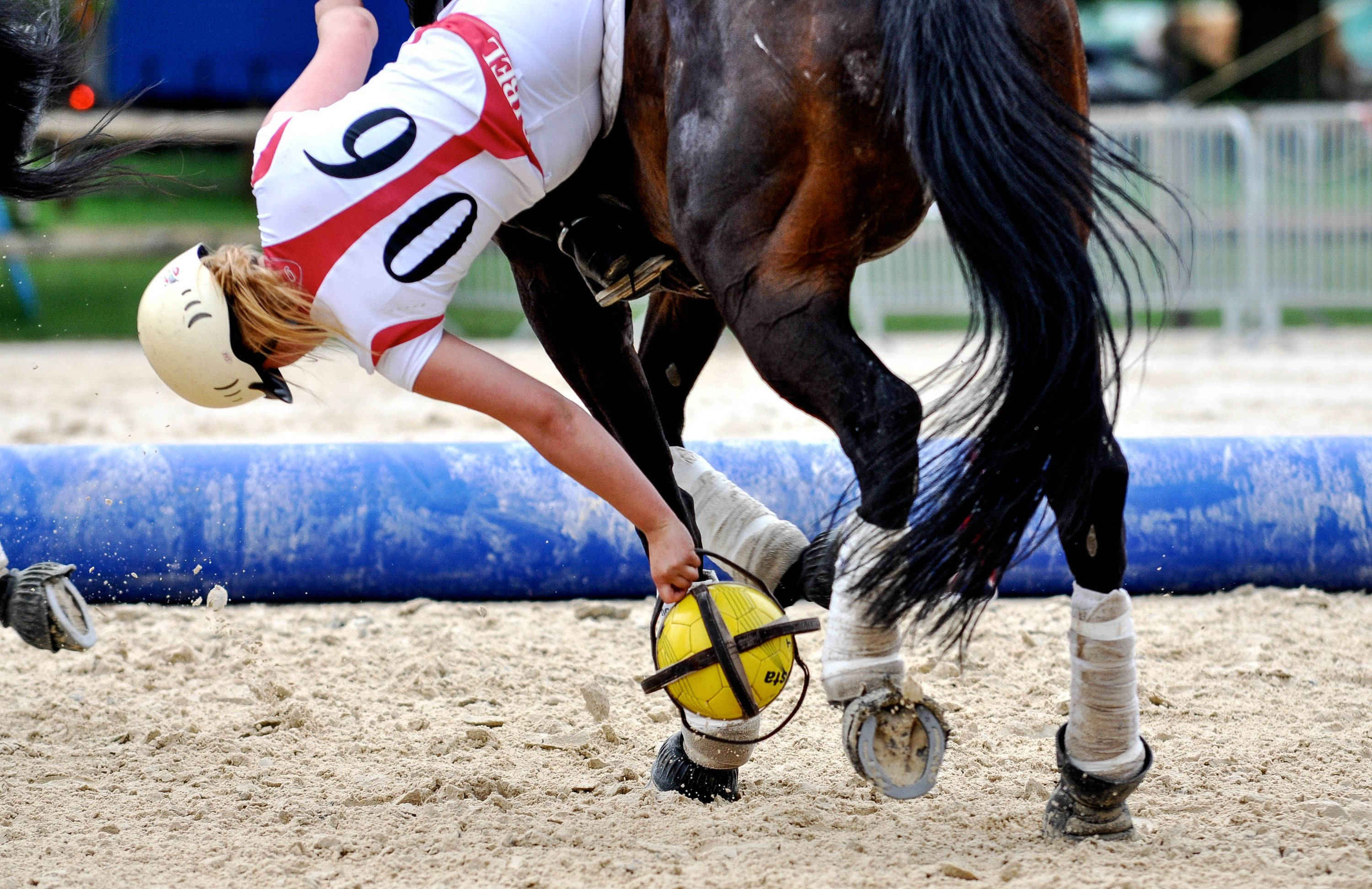 female equestrian, white and red jersey, dark horse, 2K Desktop Wallpaper