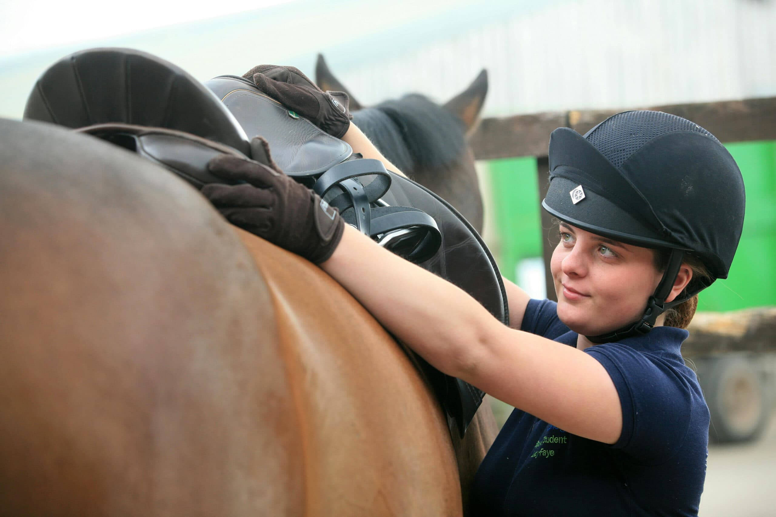 female equestrian, saddle, chestnut horse, 2K Desktop Wallpaper