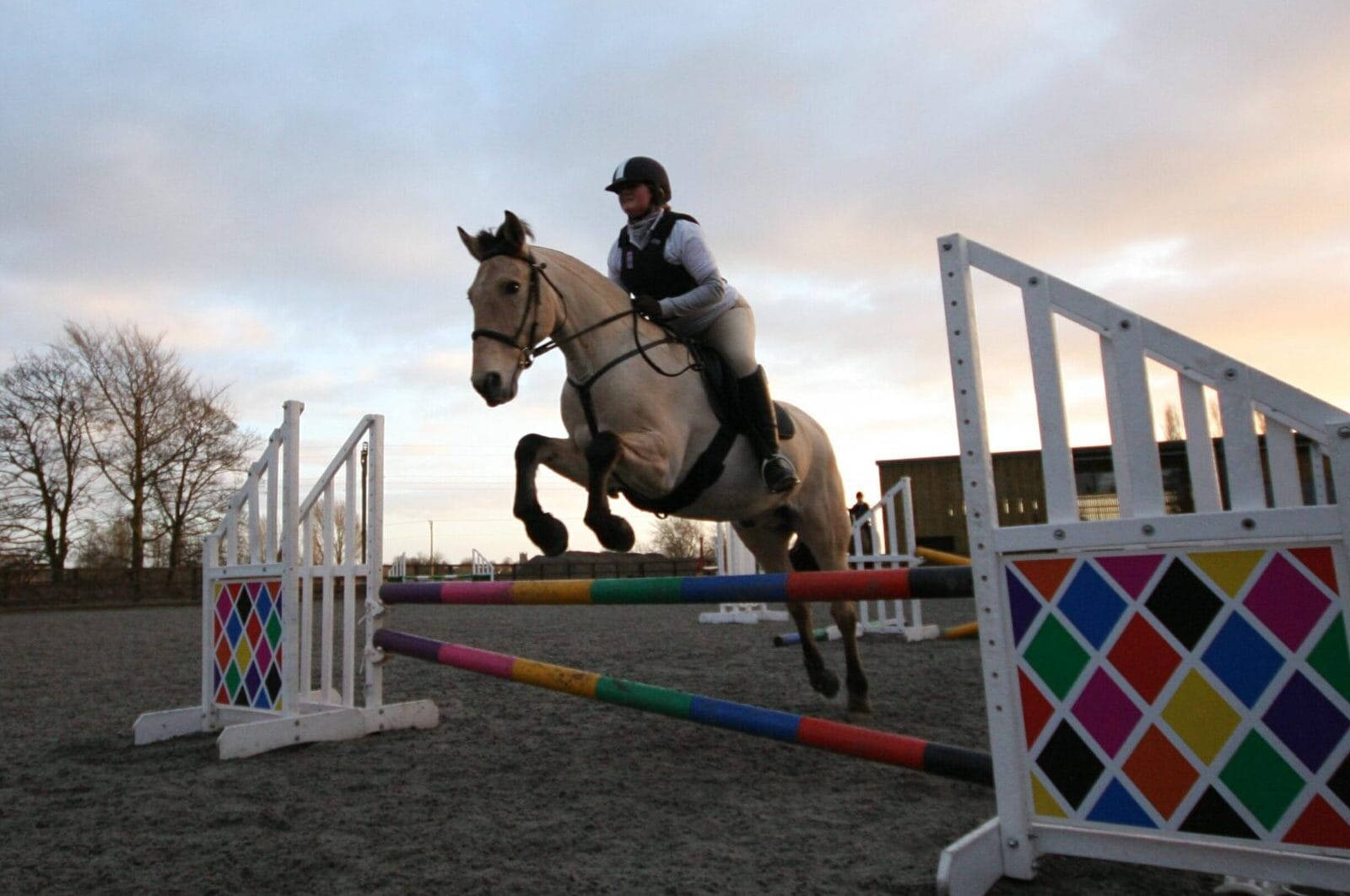 equestrian, horse show jumping, light-colored horse, HD Desktop Wallpaper