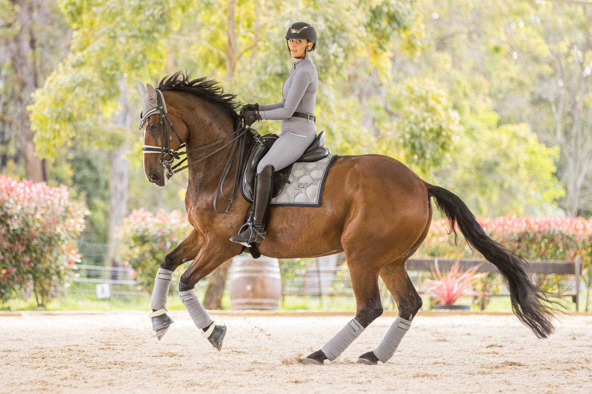 female equestrian, chestnut horse, dressage movements, Full HD Desktop Wallpaper