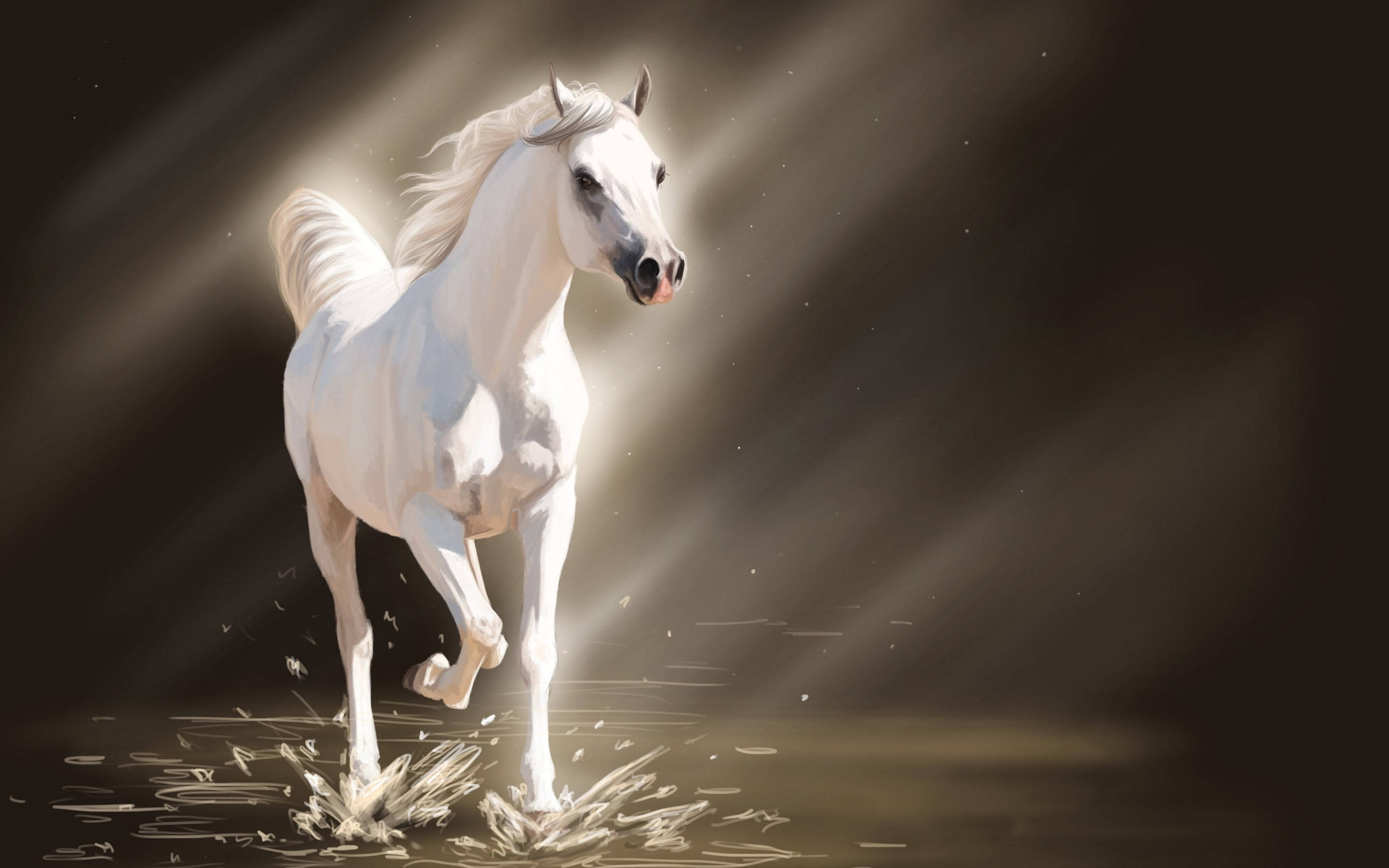 bright white running horse, majestic white horse, shallow water, 2K Desktop Wallpaper