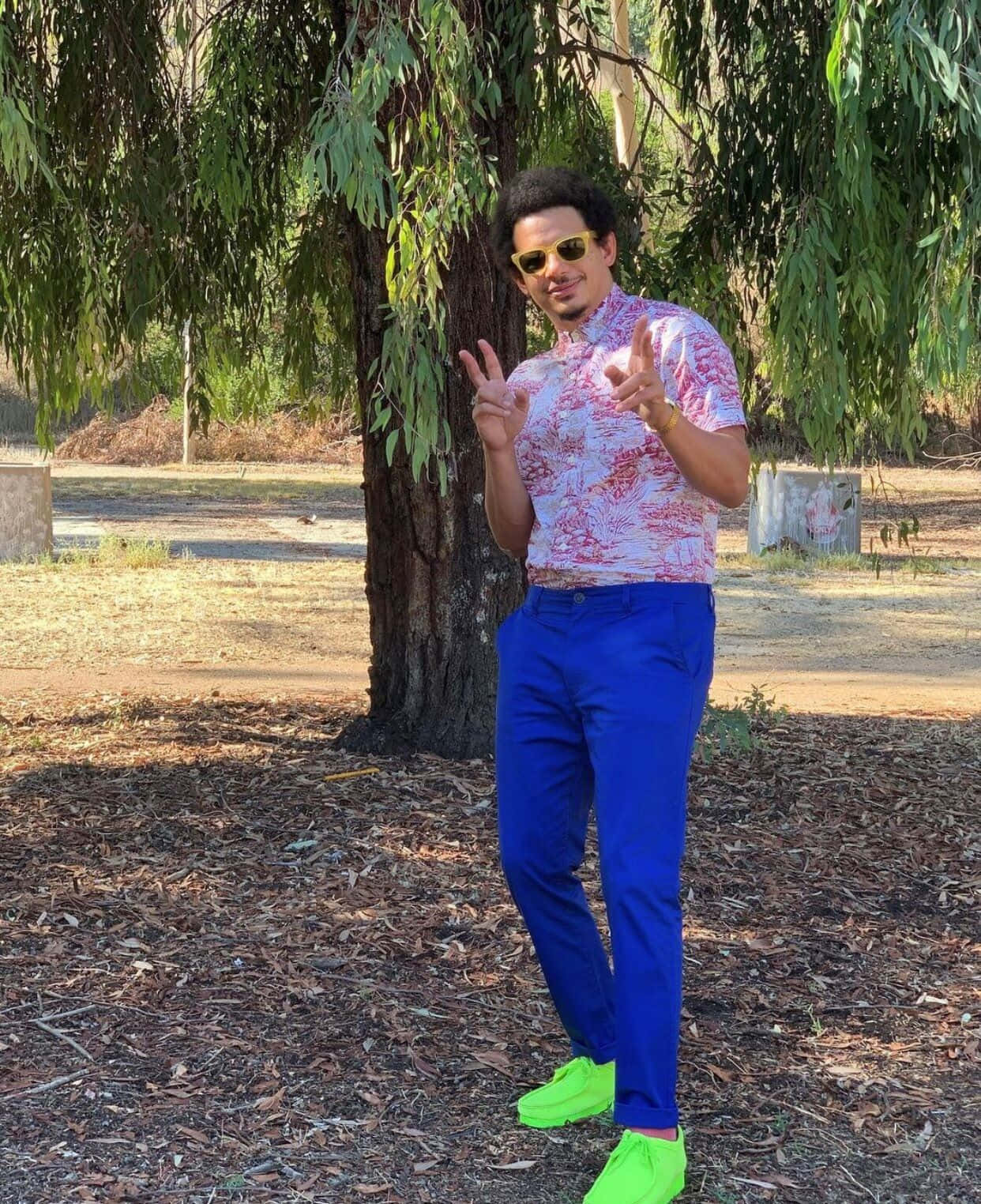 Eric Andre, peace sign, leafy tree, HD Phone Wallpaper
