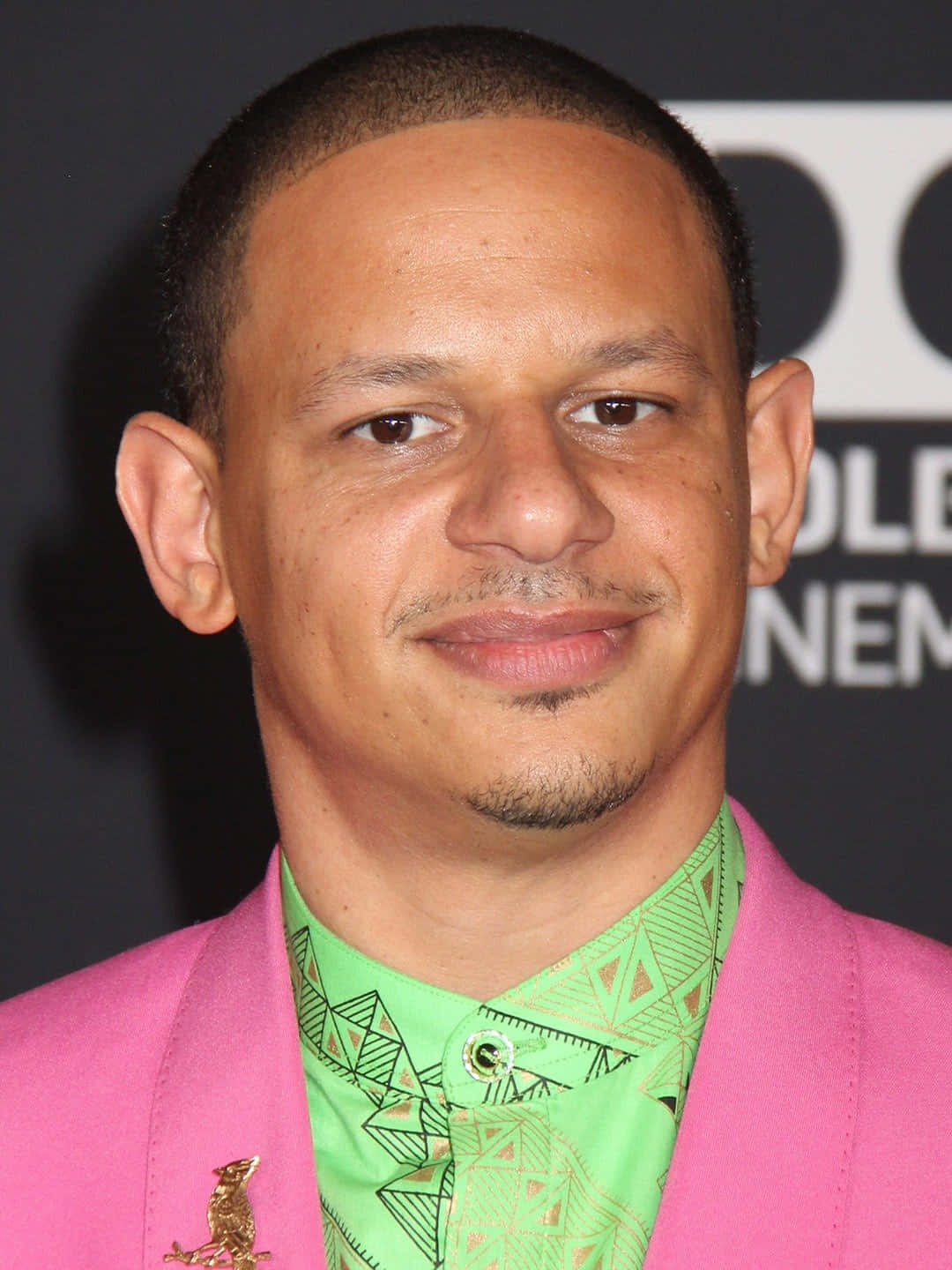 Eric Andre, pink blazer, green patterned shirt, HD Phone Wallpaper