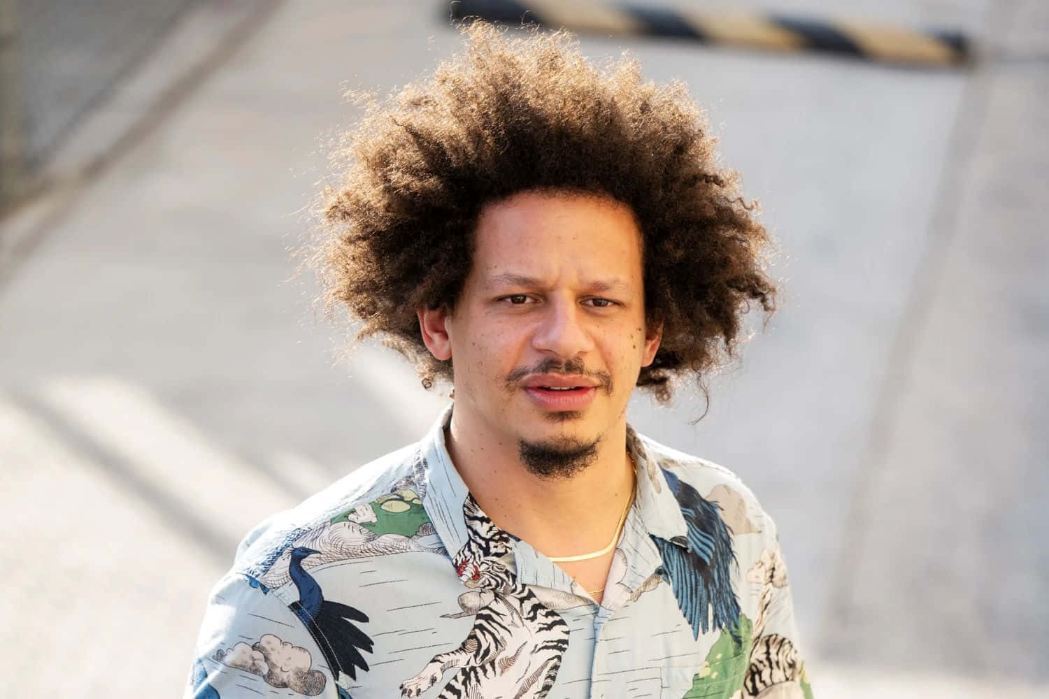Eric Andre, curly afro, patterned shirt, HD Desktop Wallpaper