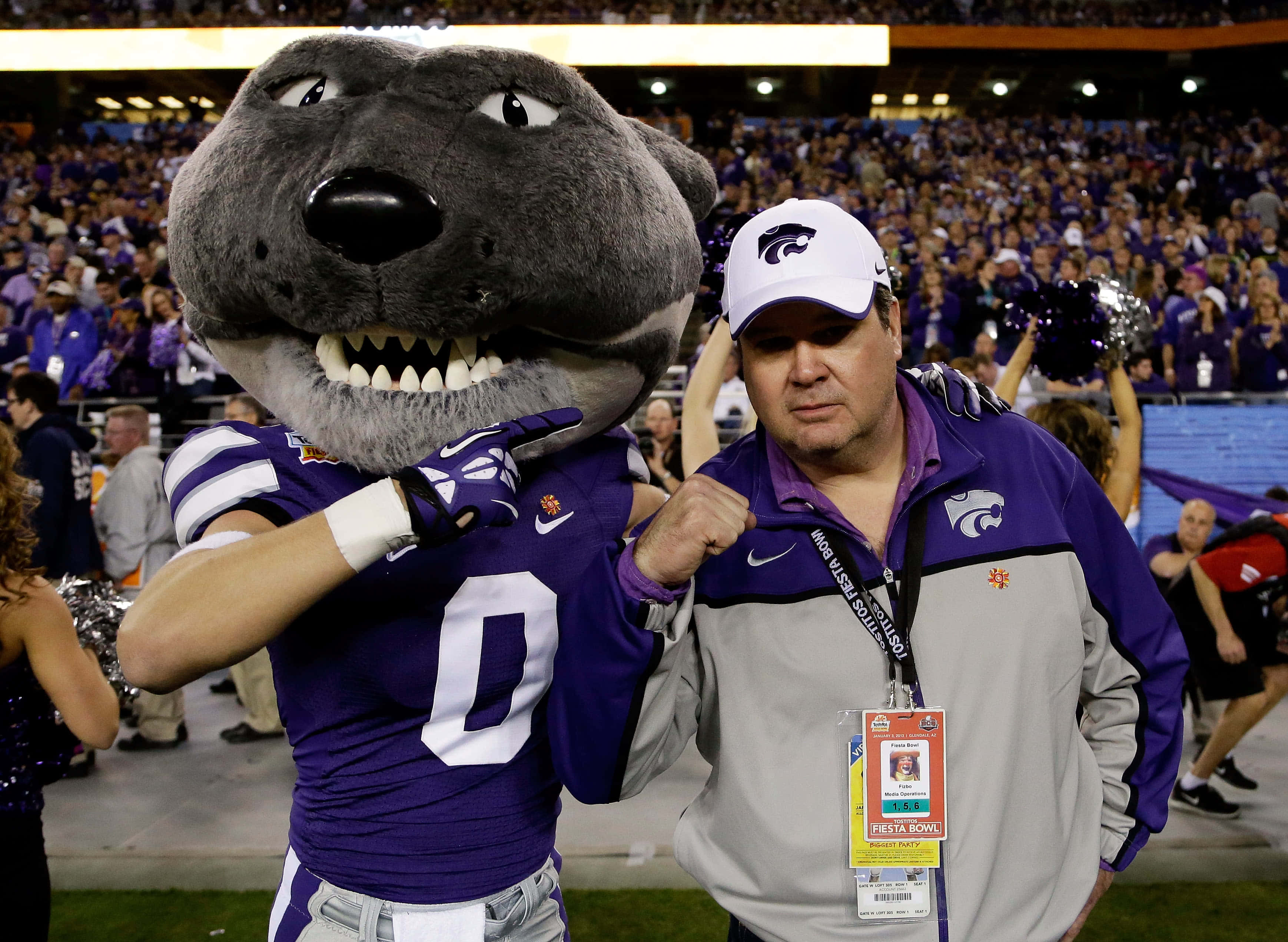 Eric Stonestreet, gray wolf mascot, purple jersey, 2K Desktop Wallpaper